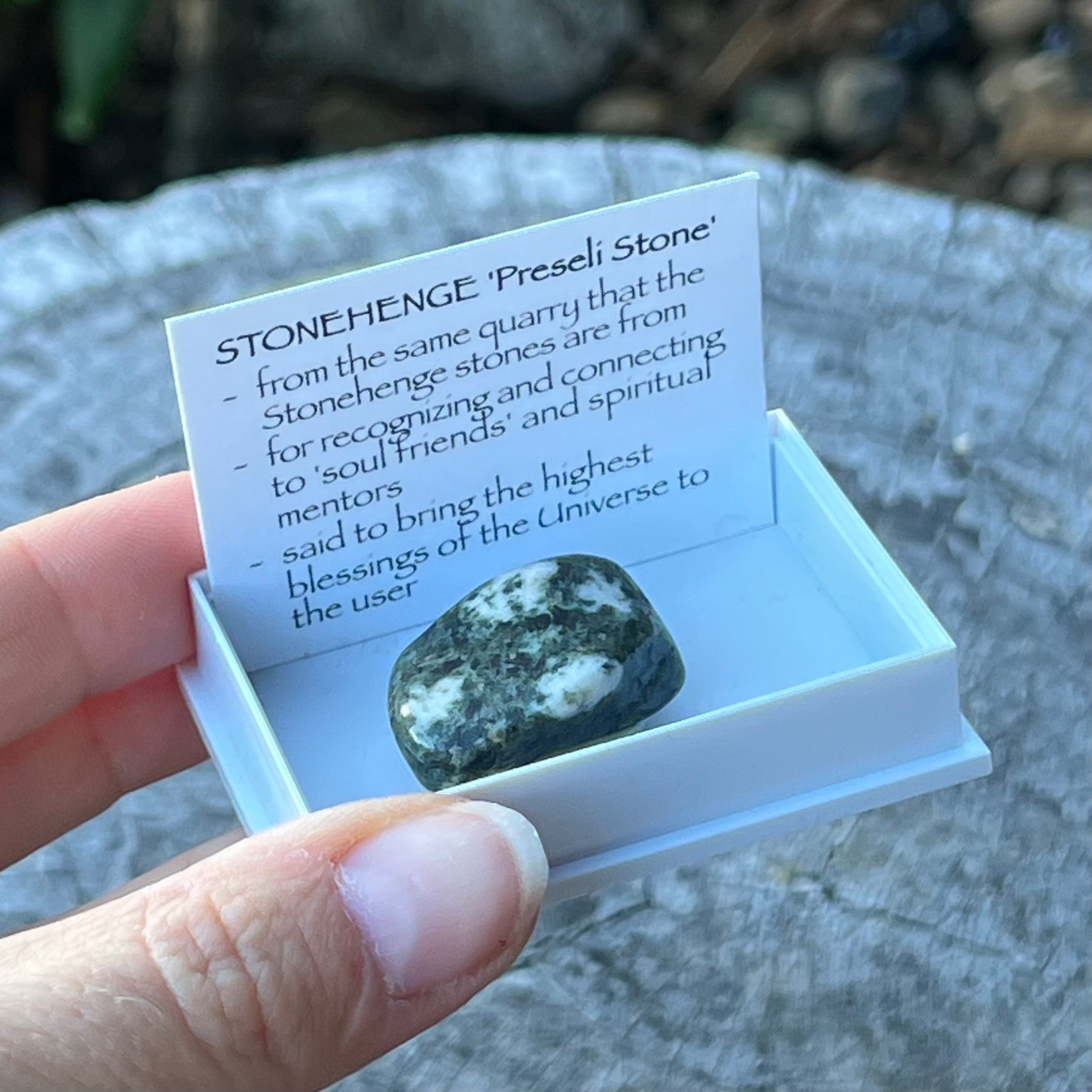 Stonehenge ~ Preseli Stone ~ Specialty Boxed Crystal