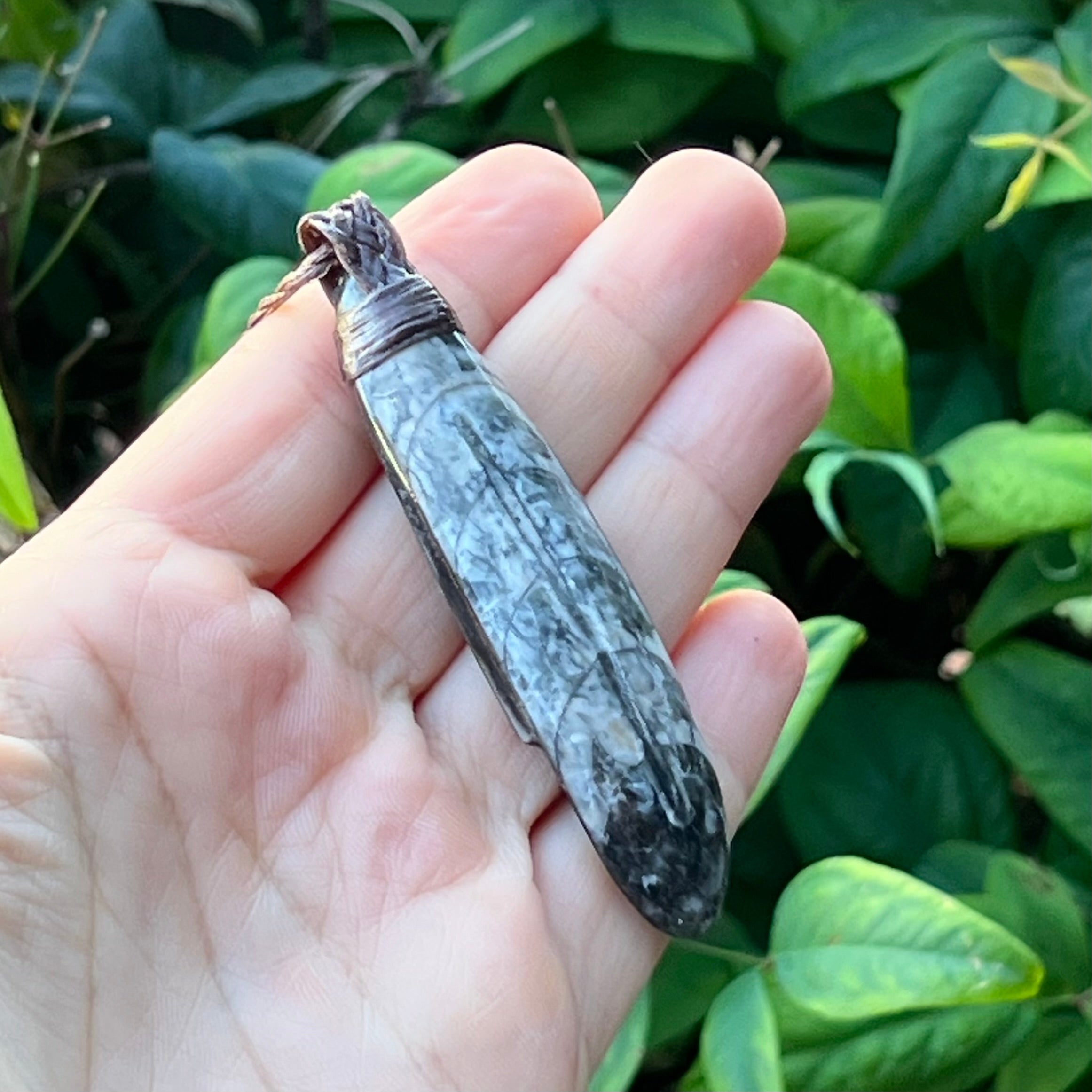 Muse Medicine ~ Orthoceras ~ Talisman