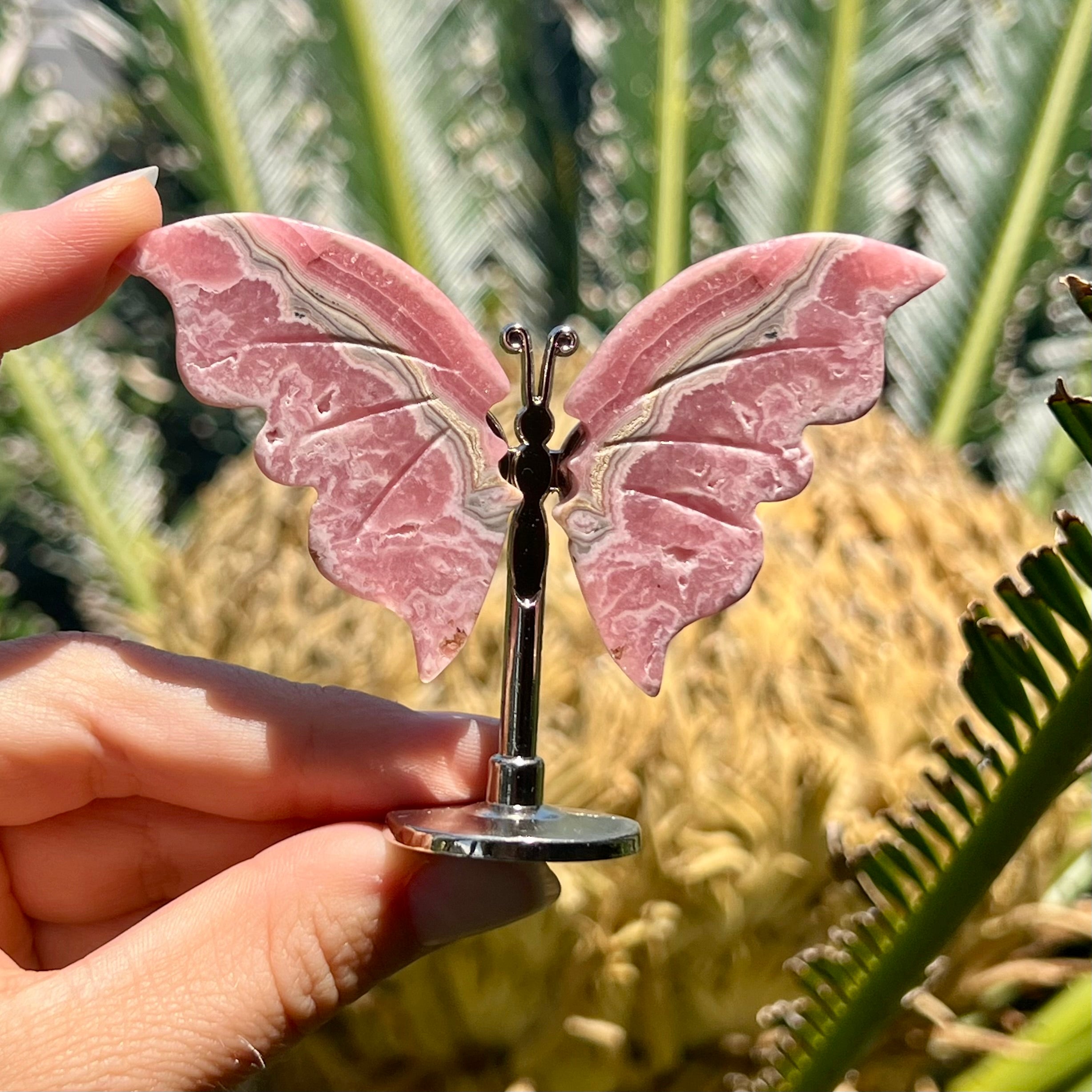 Mini Rhodochrosite Butterfly on Stand