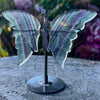 Rainbow Fluorite Butterfly Carving