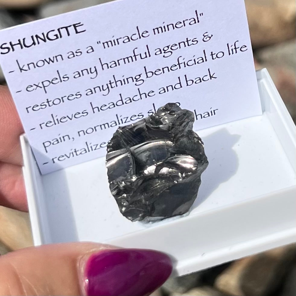 Noble Shungite ~ Specialty Boxed Crystal