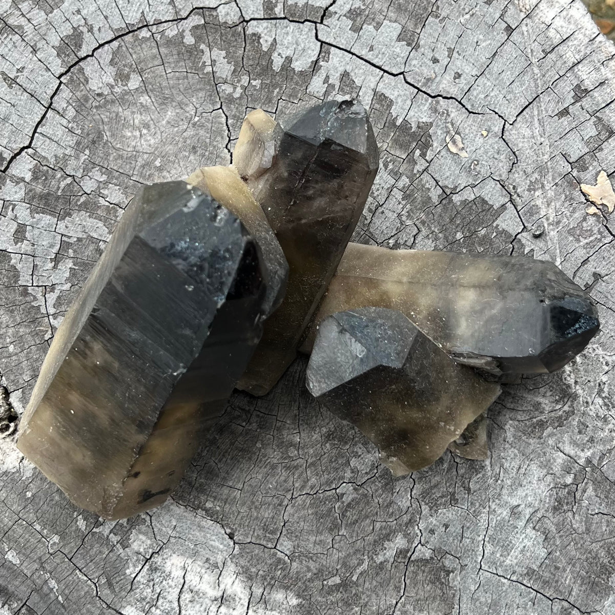 Multi-Point Smoky Quartz Formation Cluster