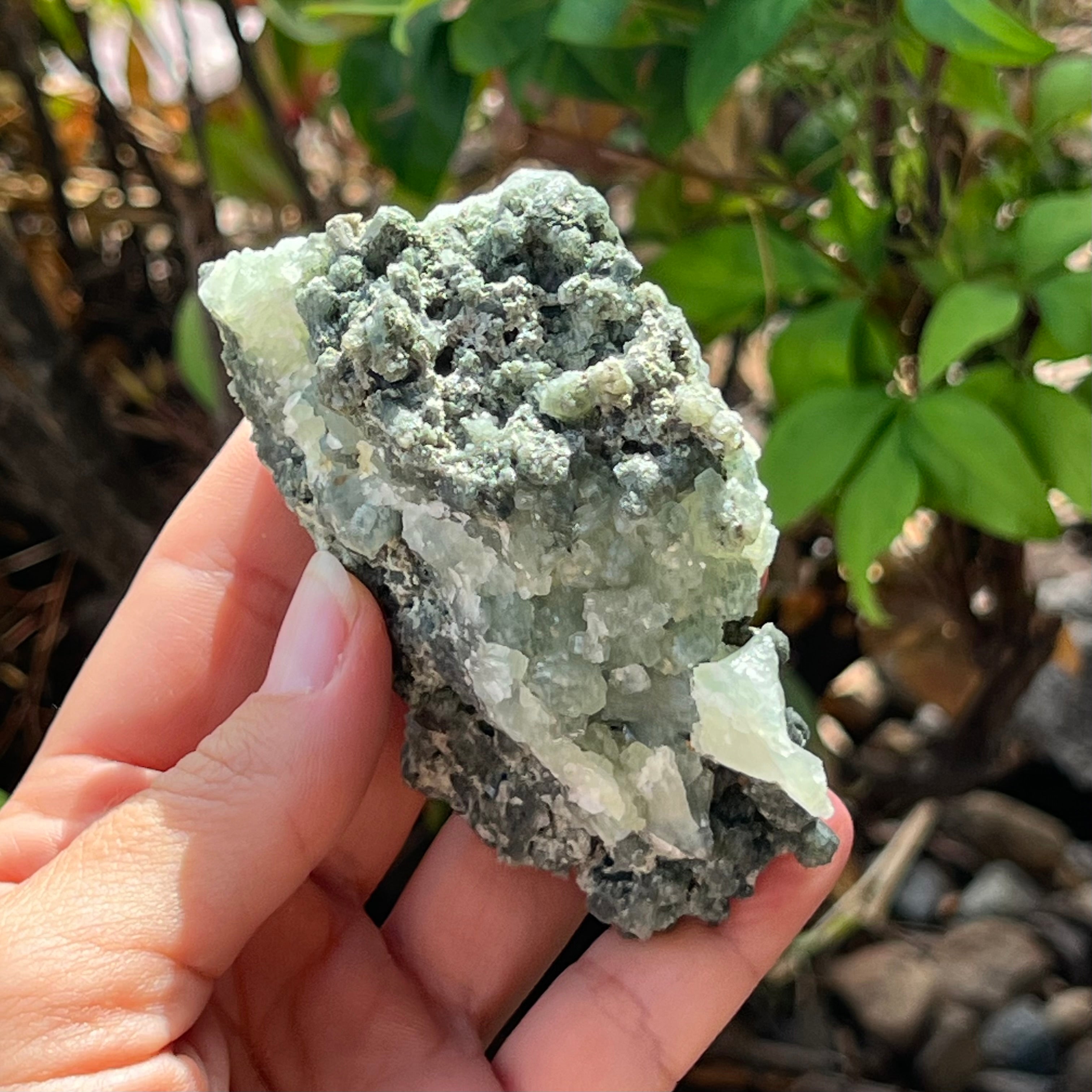 Prehnite ~ Specialty Crystal