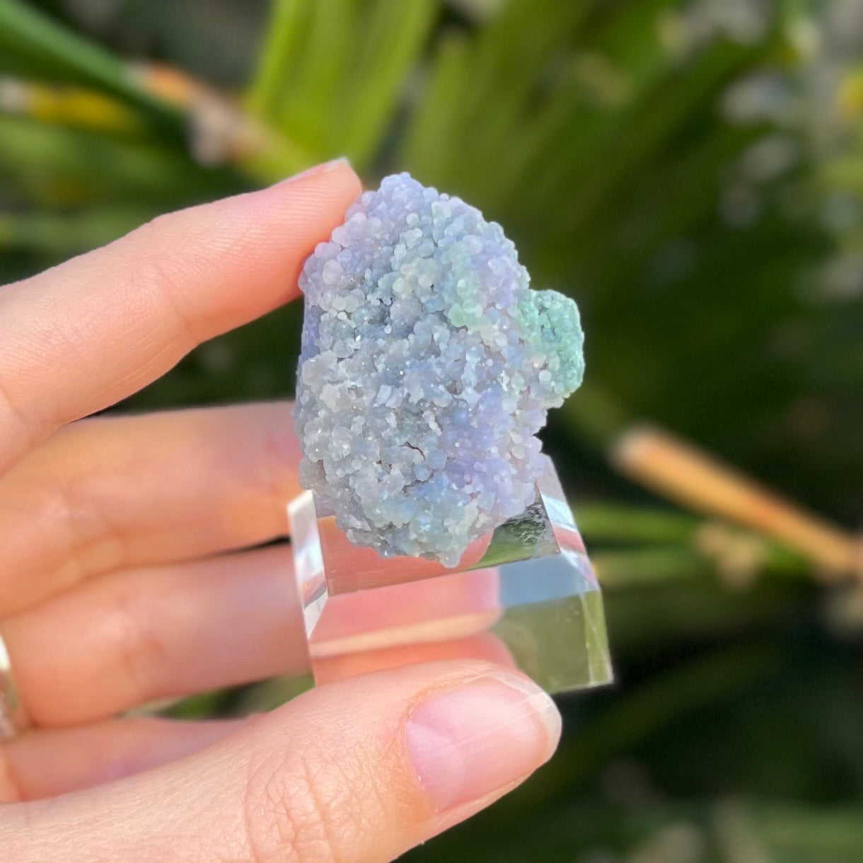 Grape Agate Specimen