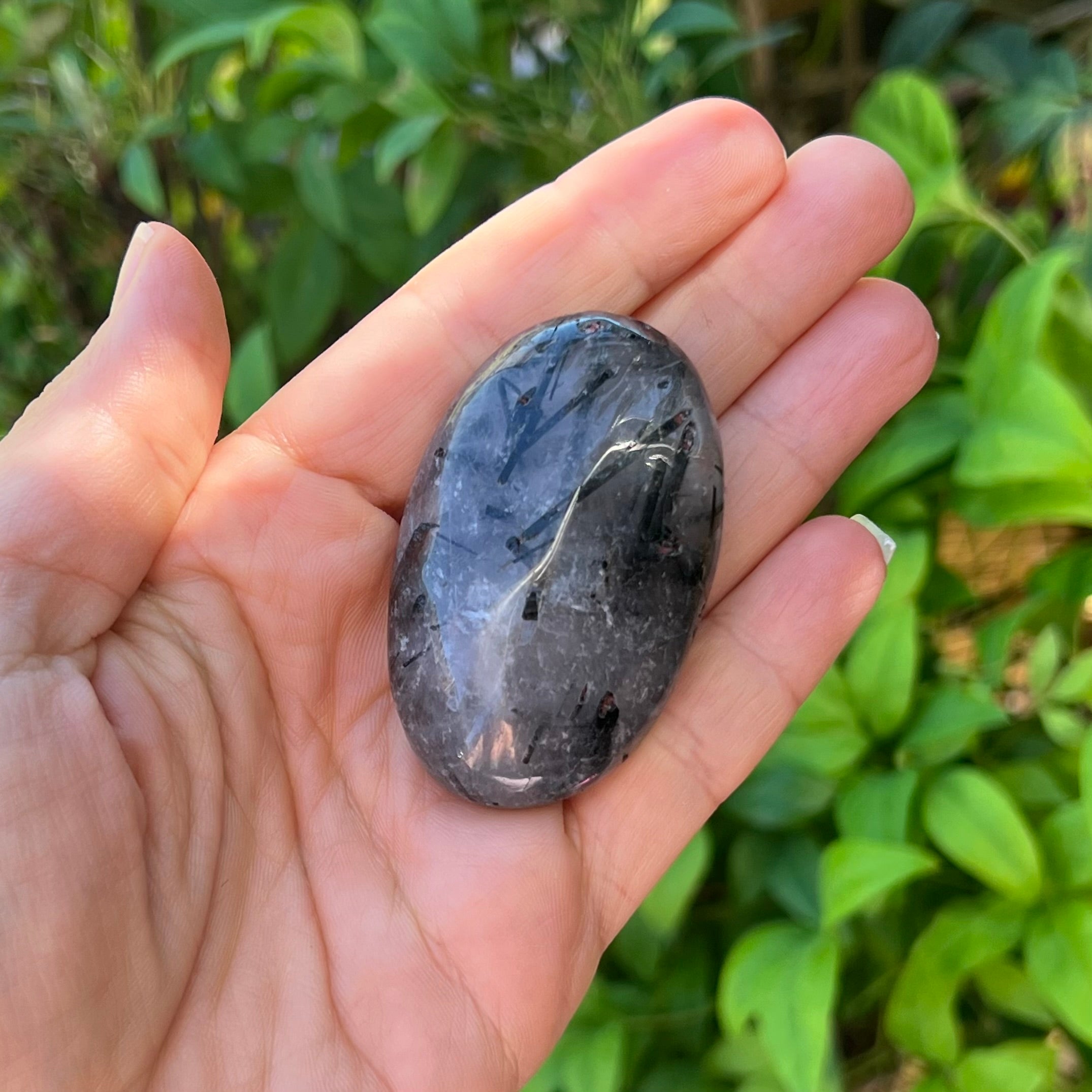Black Tourmaline in Quartz Palm Stone