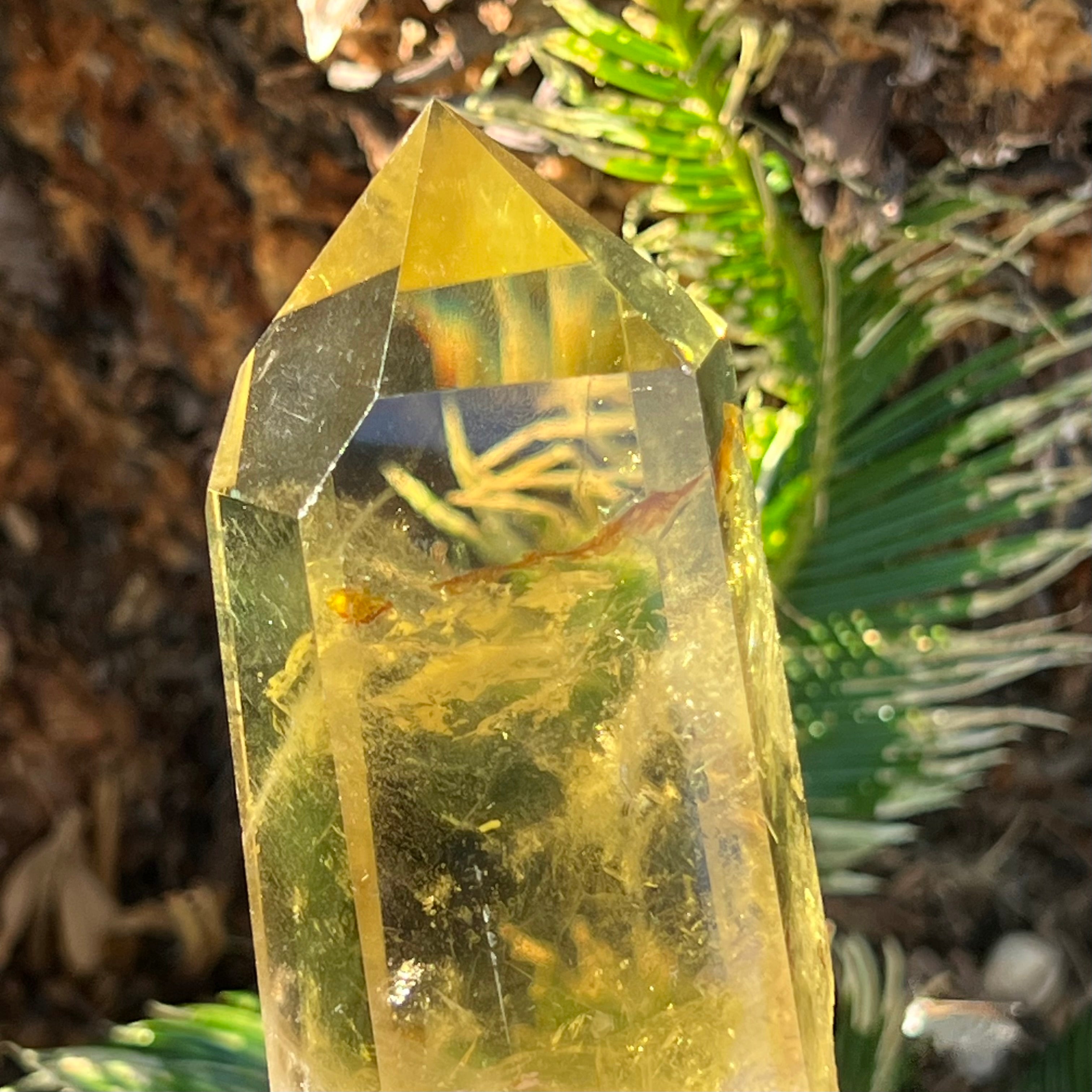 Stunning Citrine Point on Stand