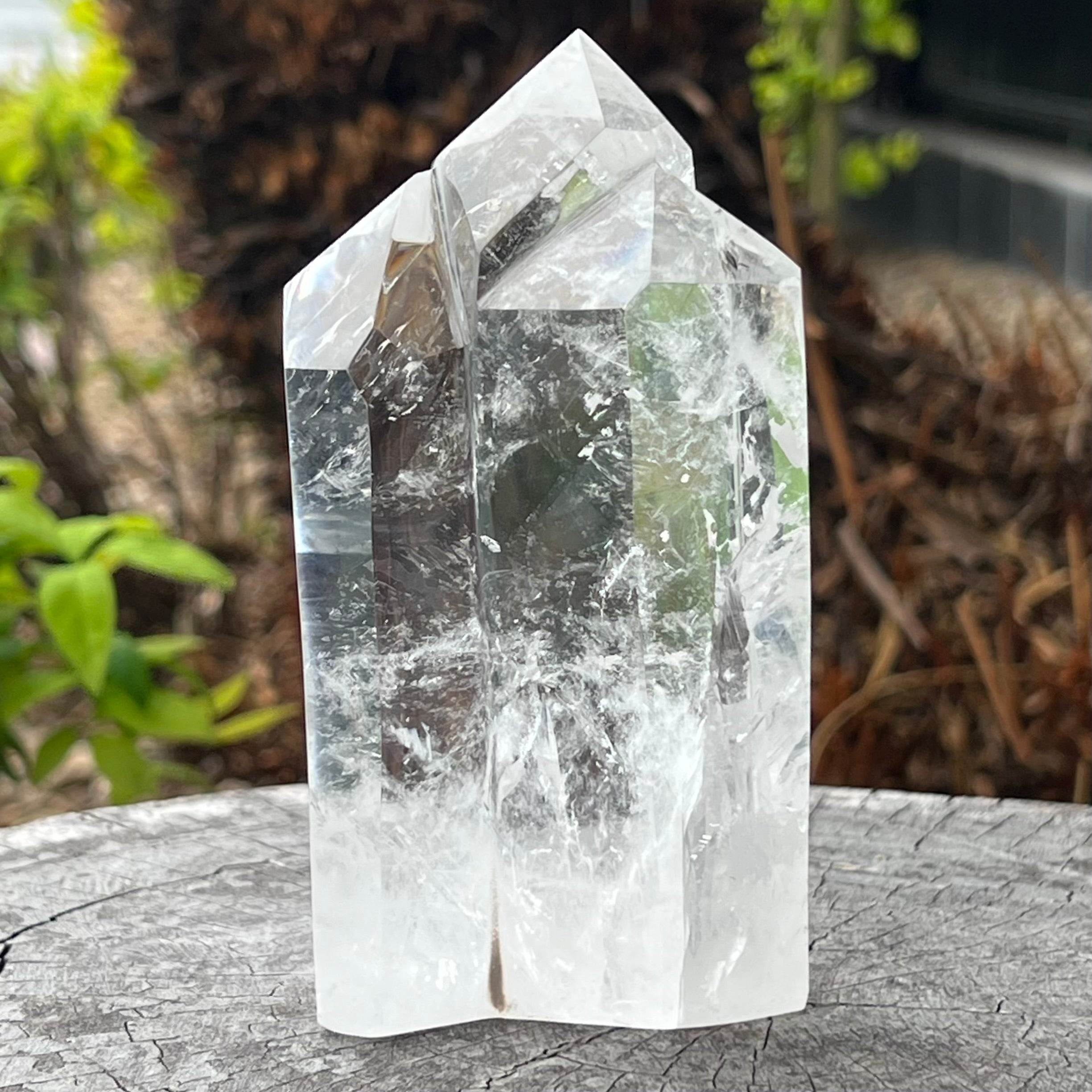 Clear Quartz Family