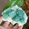 Raw Green Fluorite on Matrix