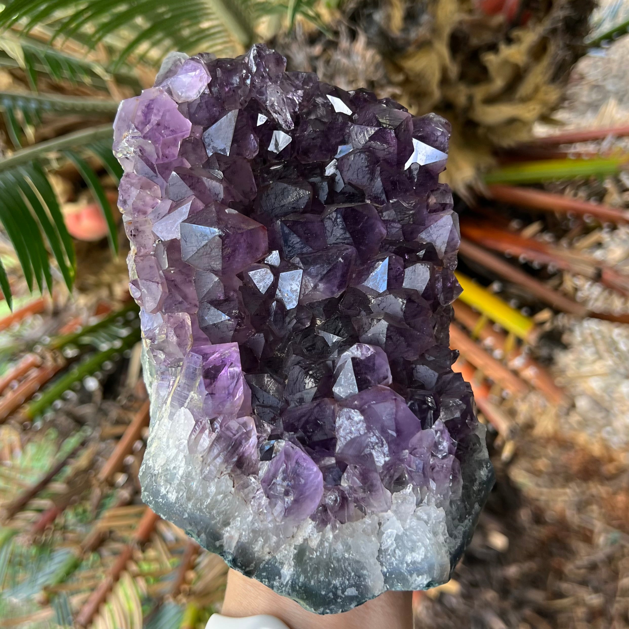Amethyst Cluster