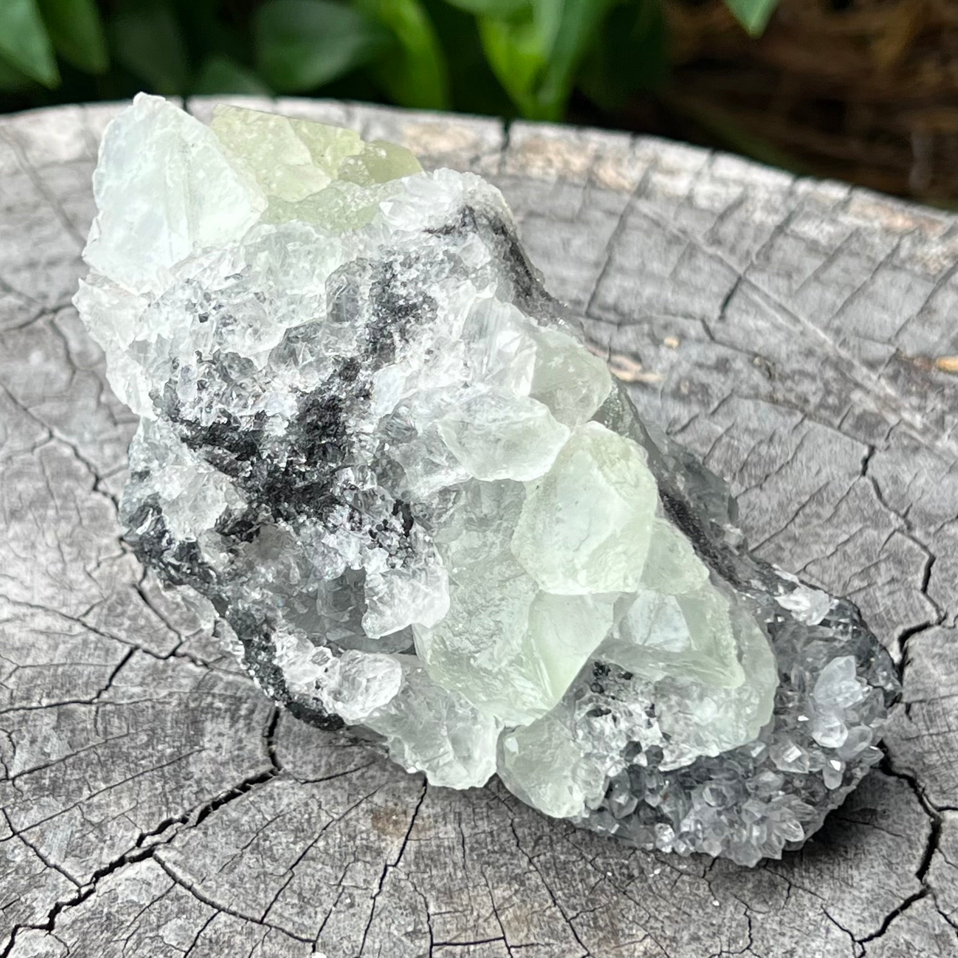 Natural Green Apophyllite