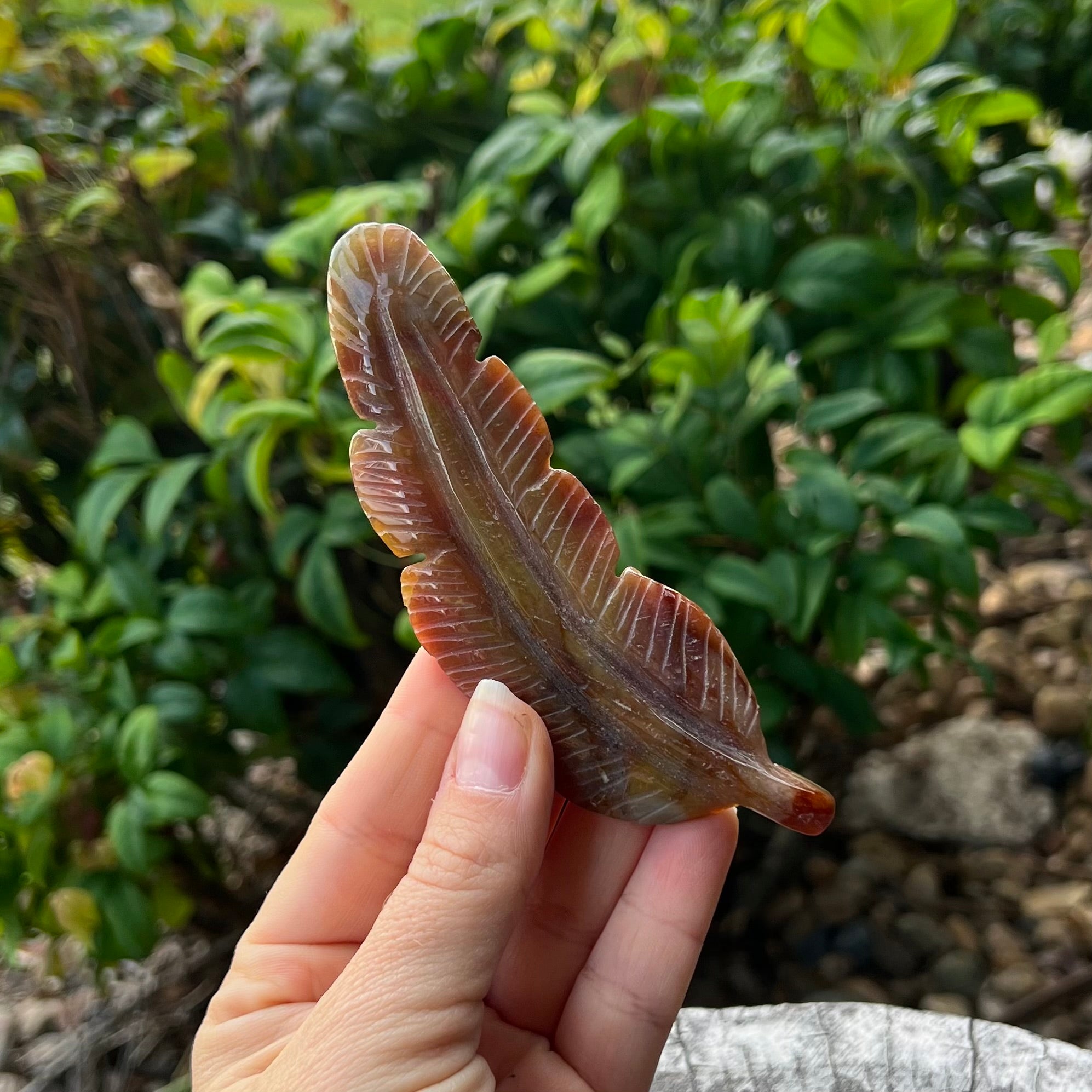 Feather of Emotional Renewal ~ Ocean Jasper