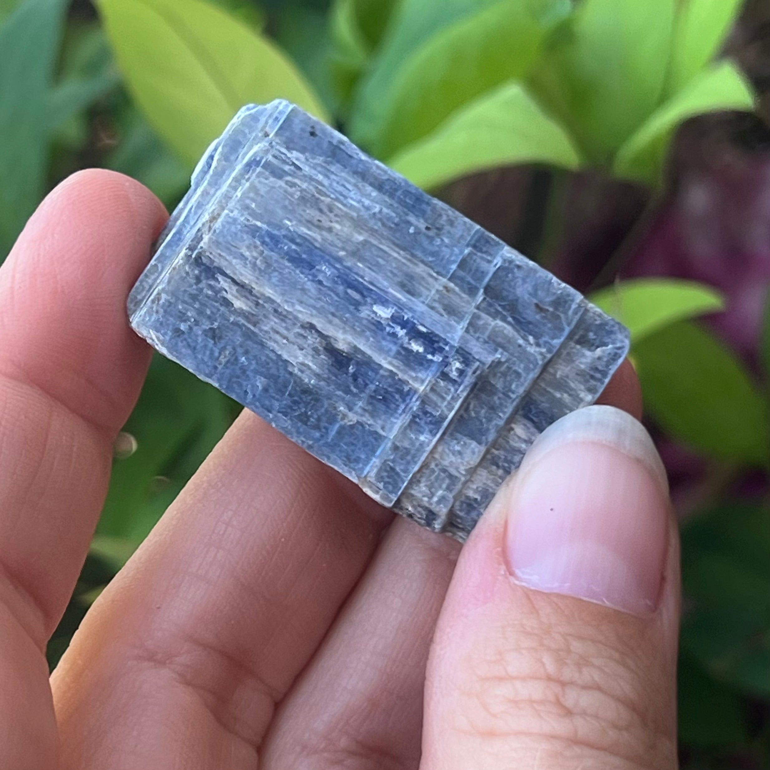 Blue Kyanite Specialty Crystal