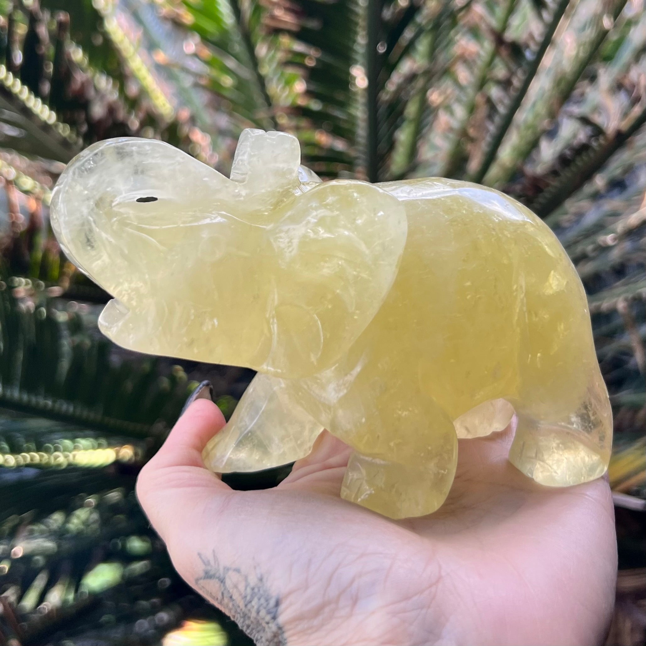 Lucky Elephant ~ Citrine