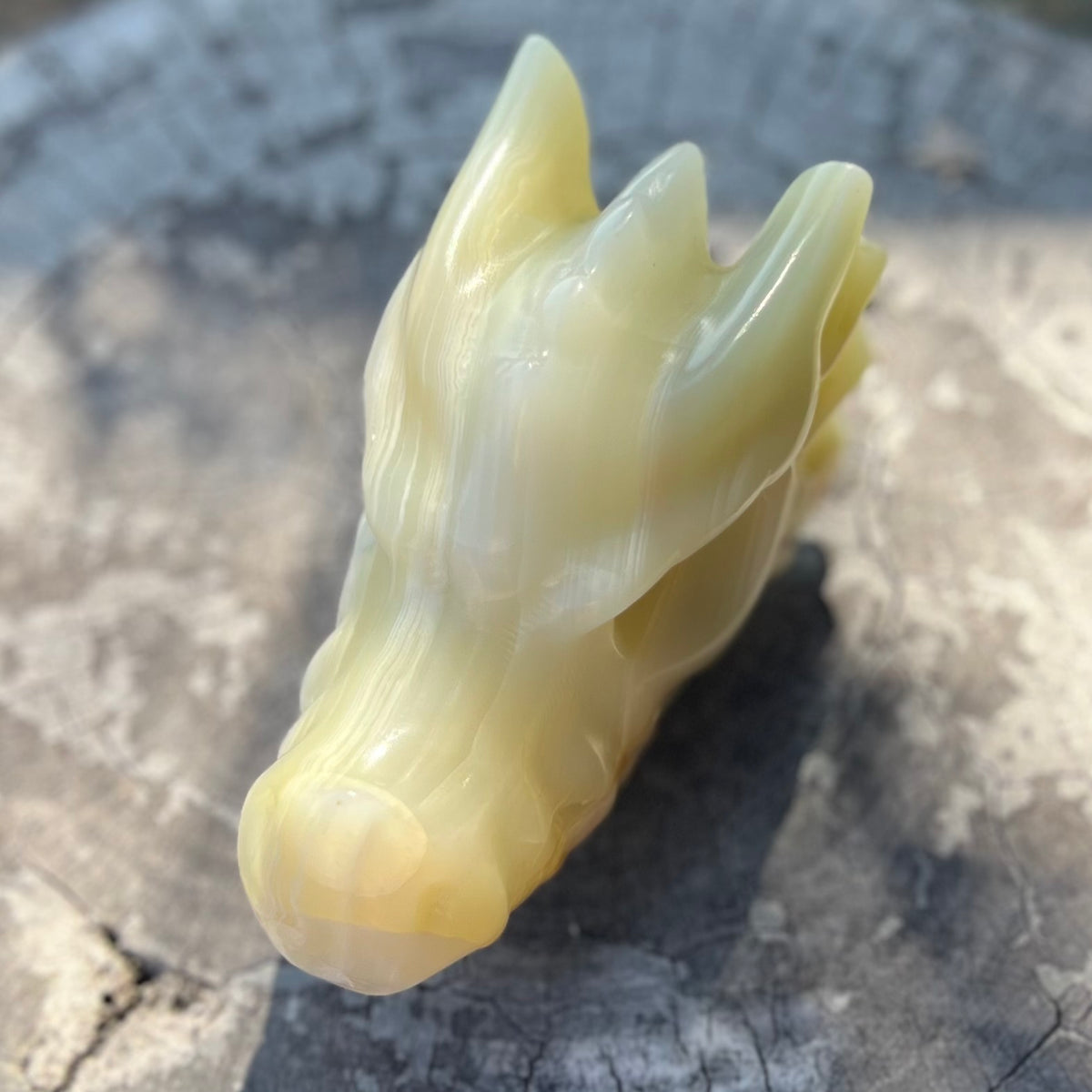 Afghanistan Jade ~ Dragon Head