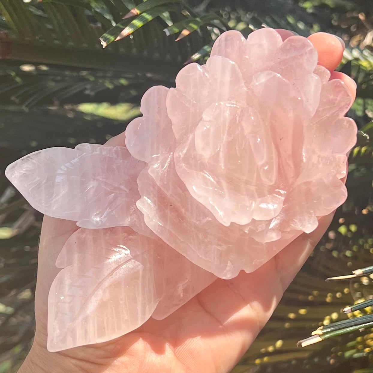 Rose Quartz Rose Carving - Medium