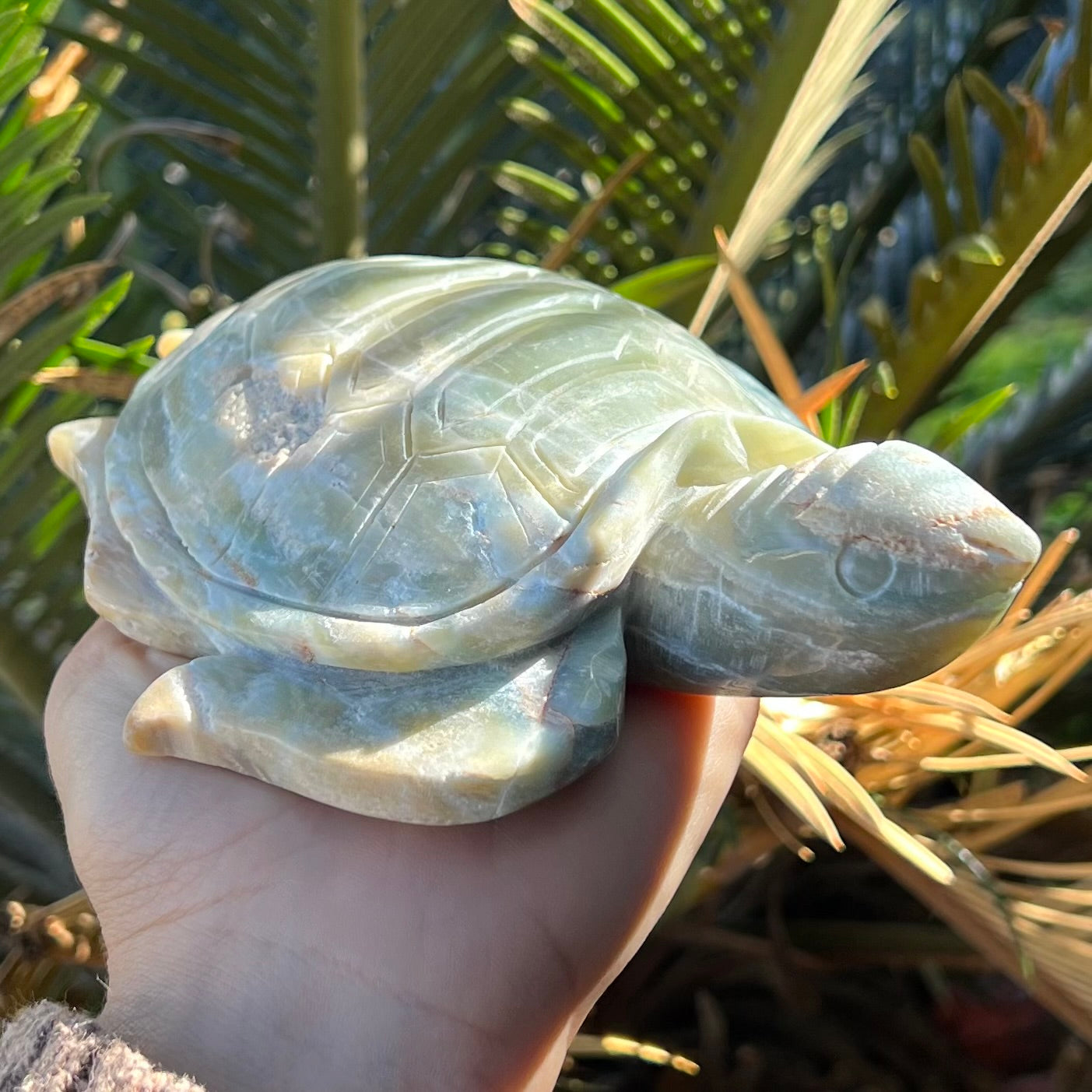 Caribbean Calcite ~  Turtle Carving