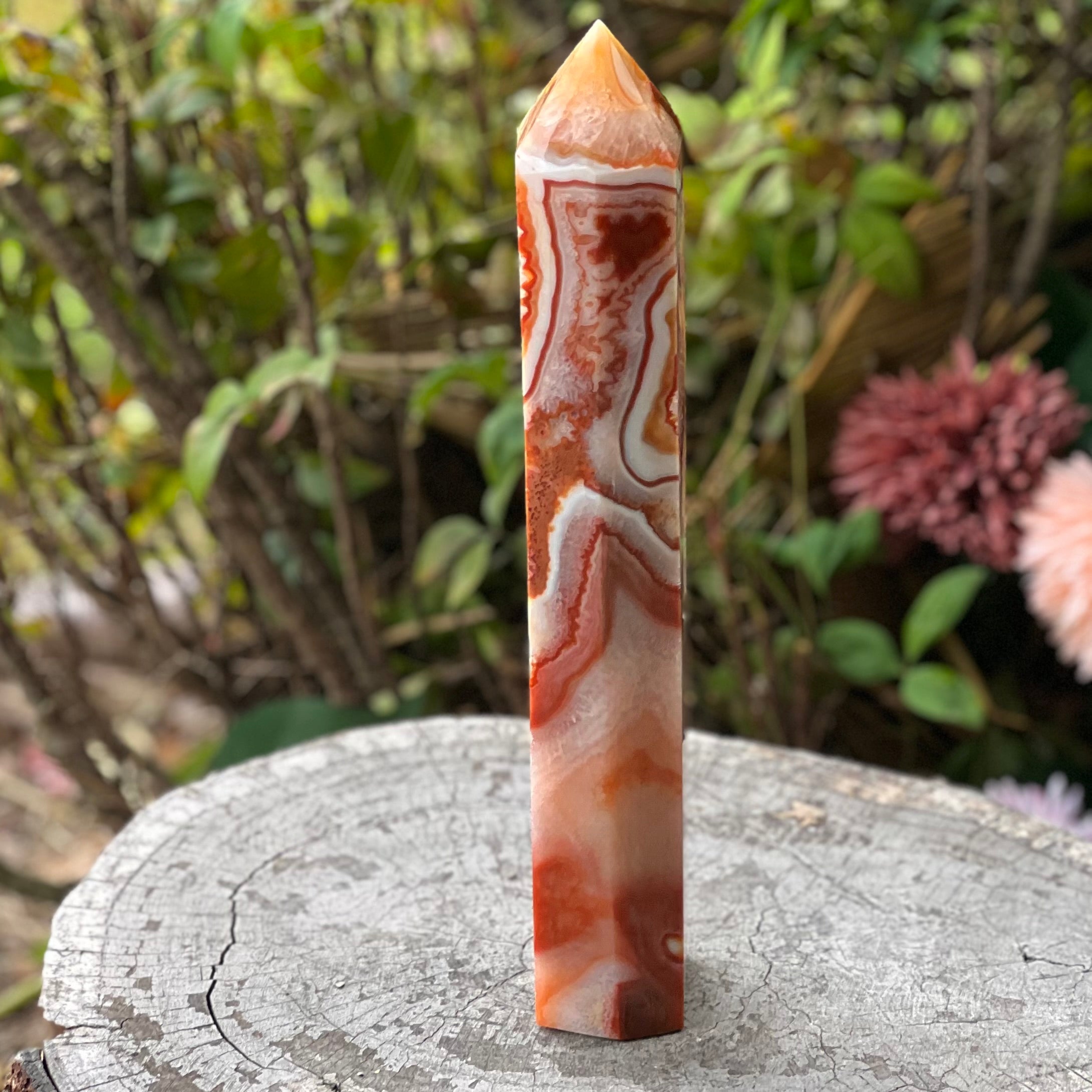 Carnelian with Quartz Generator Tower