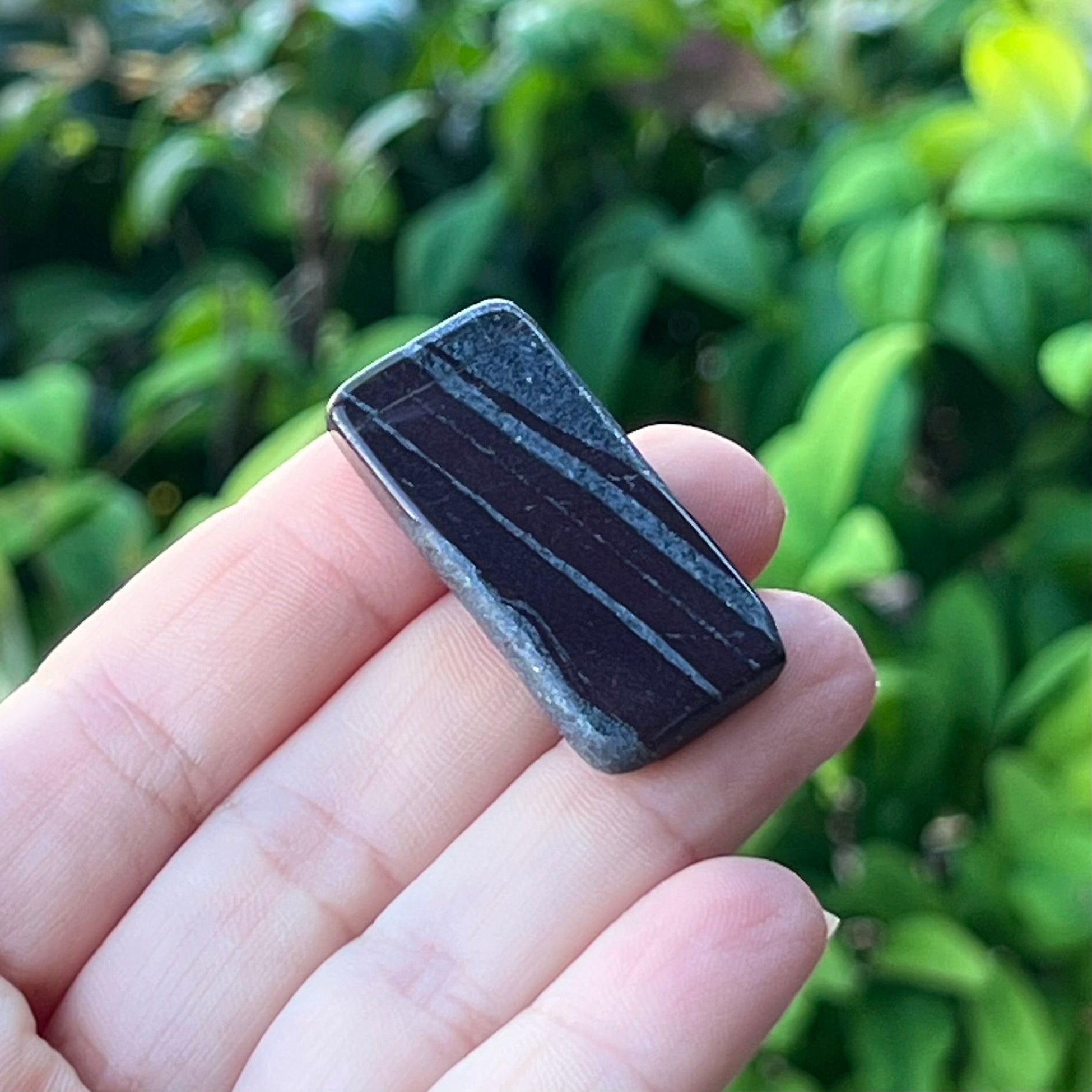 Ancestralite ~ Specialty Boxed Crystal