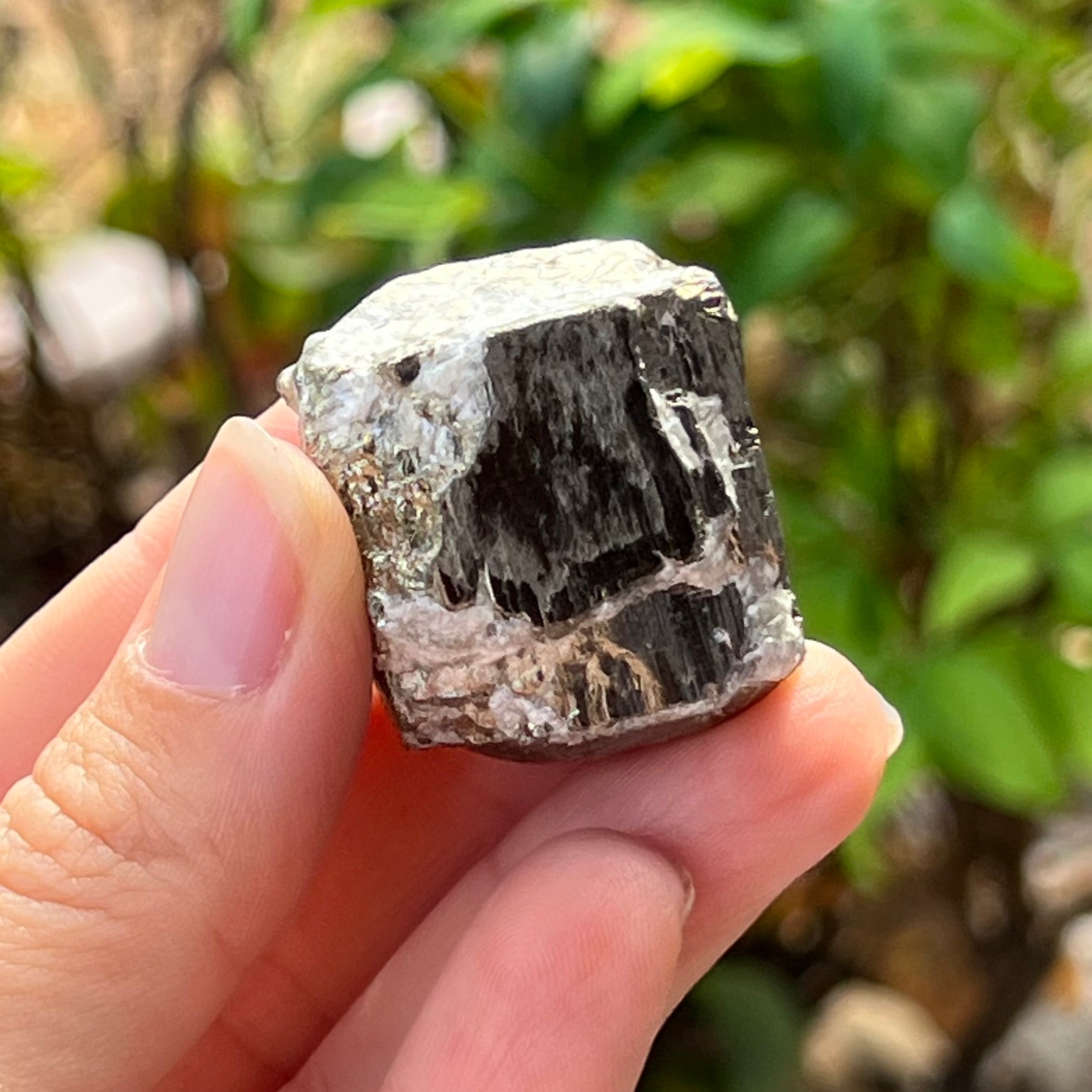Pyrite Prosperity Cube