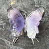 Rainbow Fluorite Butterfly