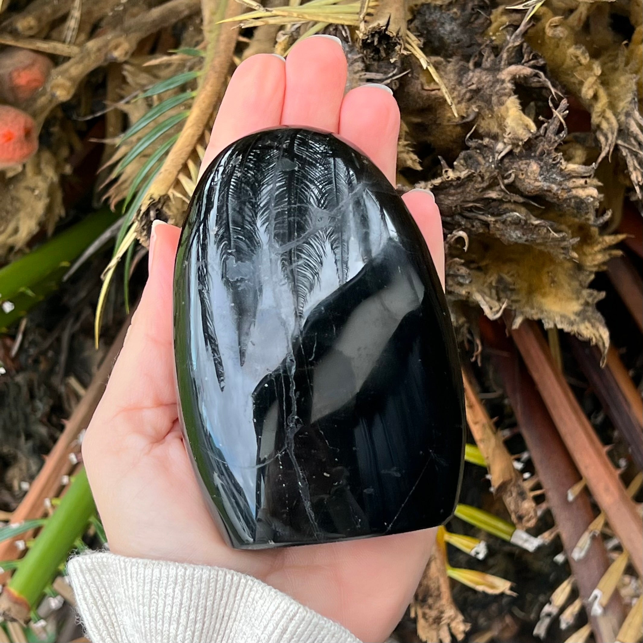 Black Tourmaline Freeform ~ 2