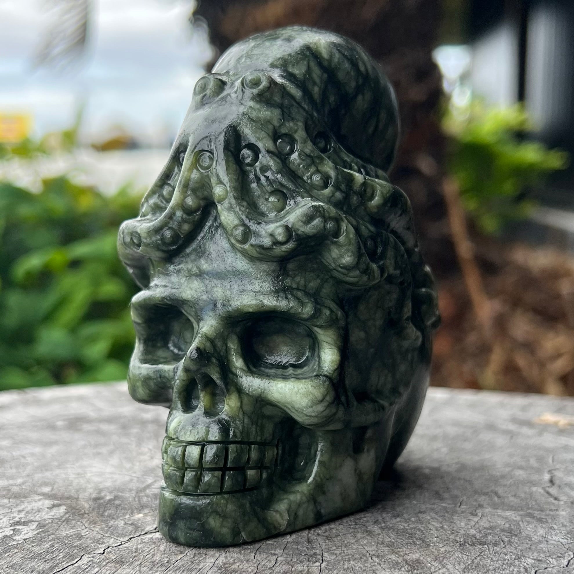 Kambaba Jasper Octopus Skull Carving