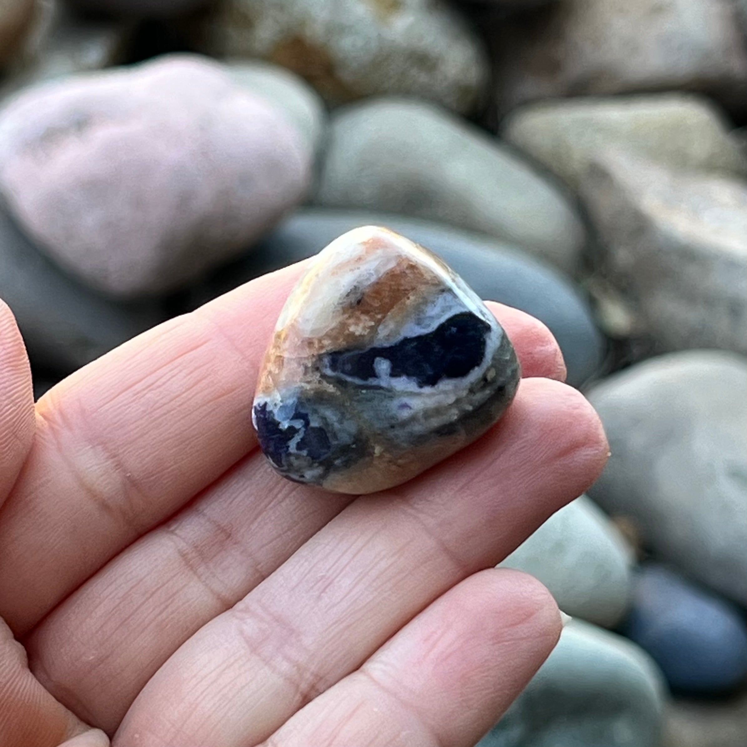 Violet Flame Opal ~ Specialty Boxed Crystal