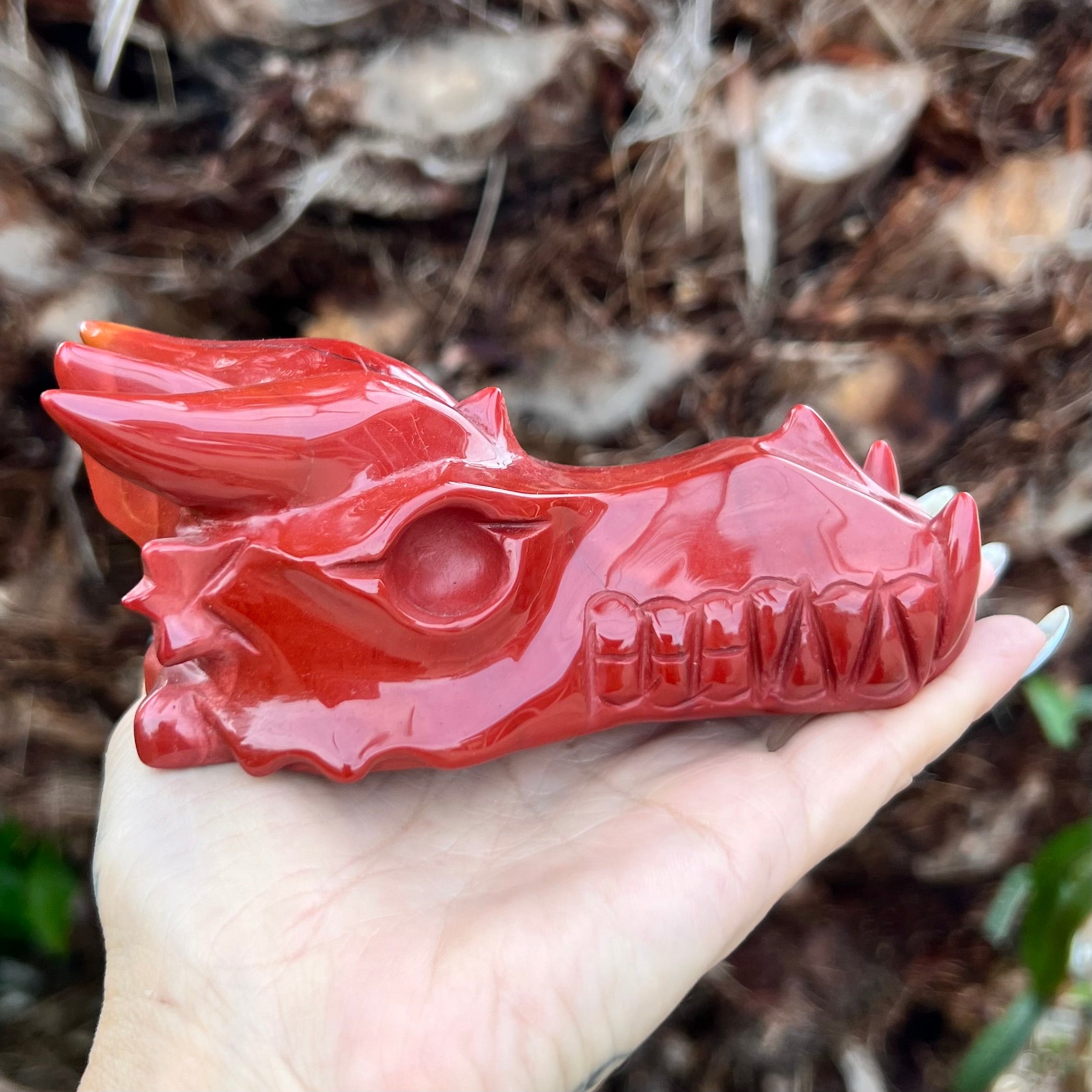 Red Jasper ~ Dragon Head