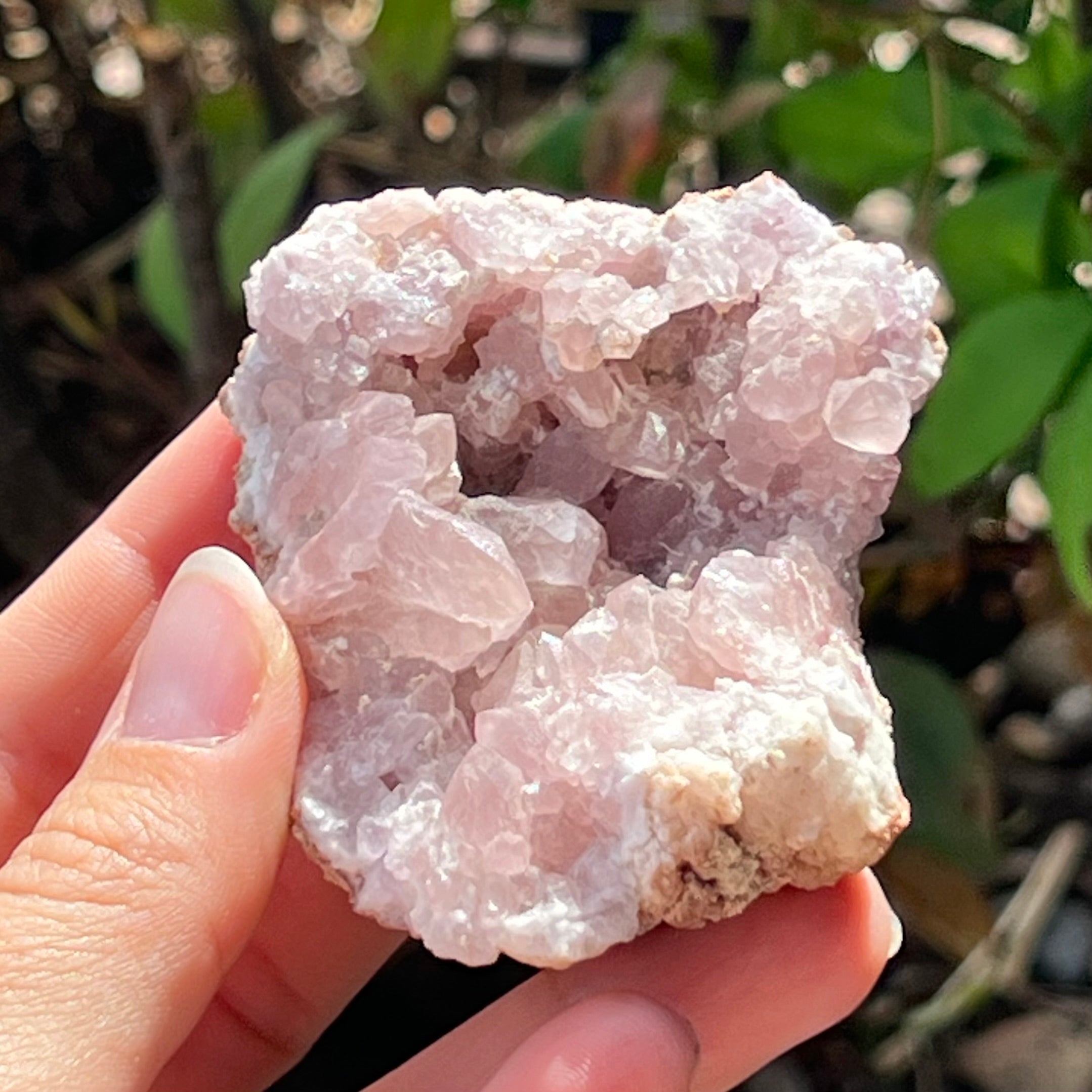 Raw Pink Amethyst ~ Specialty Crystal