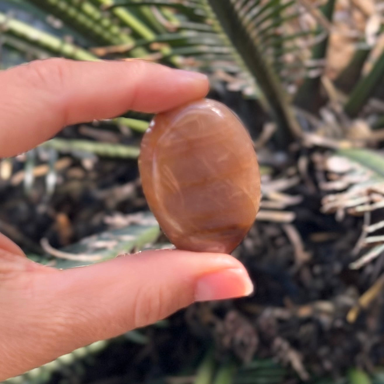 Peach Moonstone