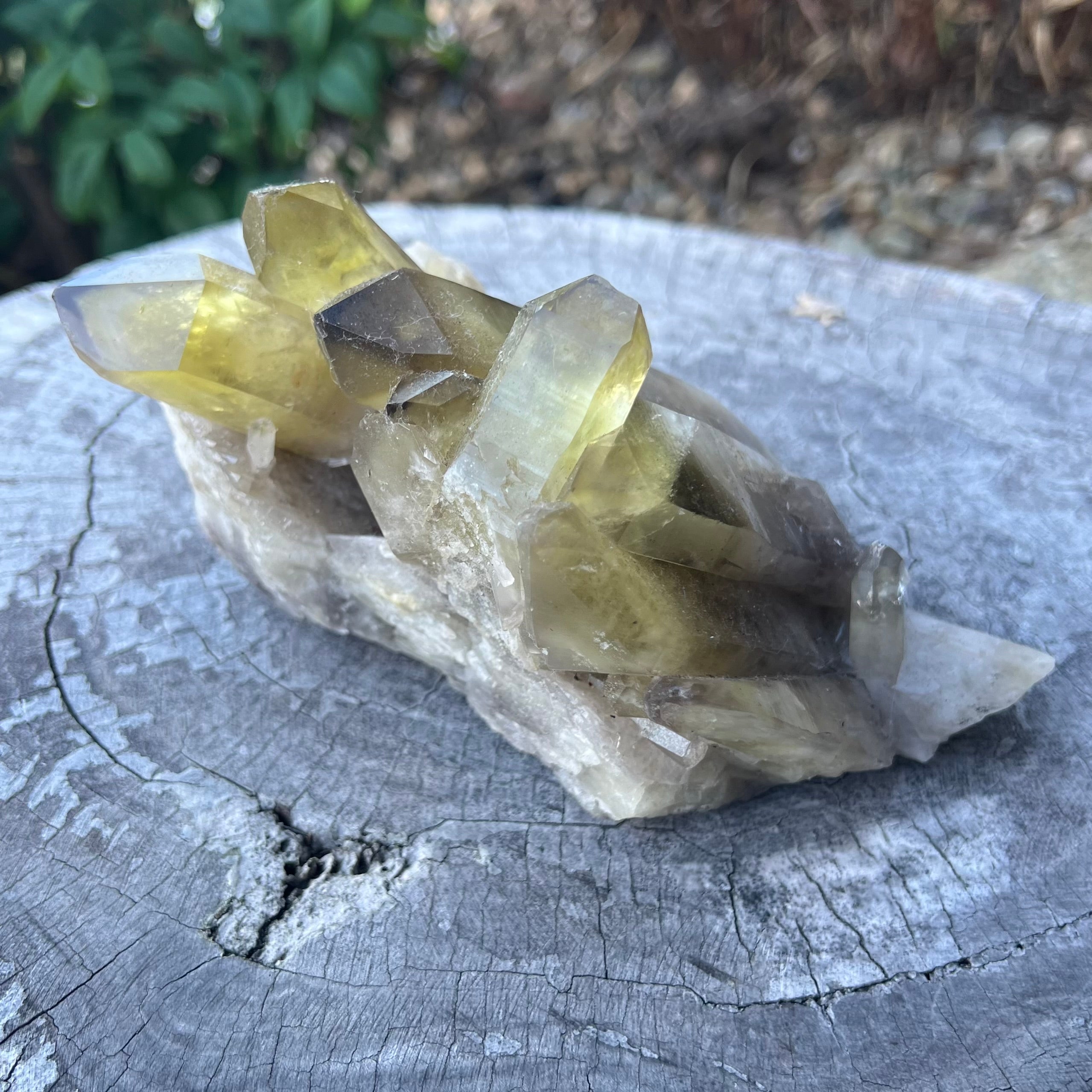 Smoky Citrine Natural Raw Cluster