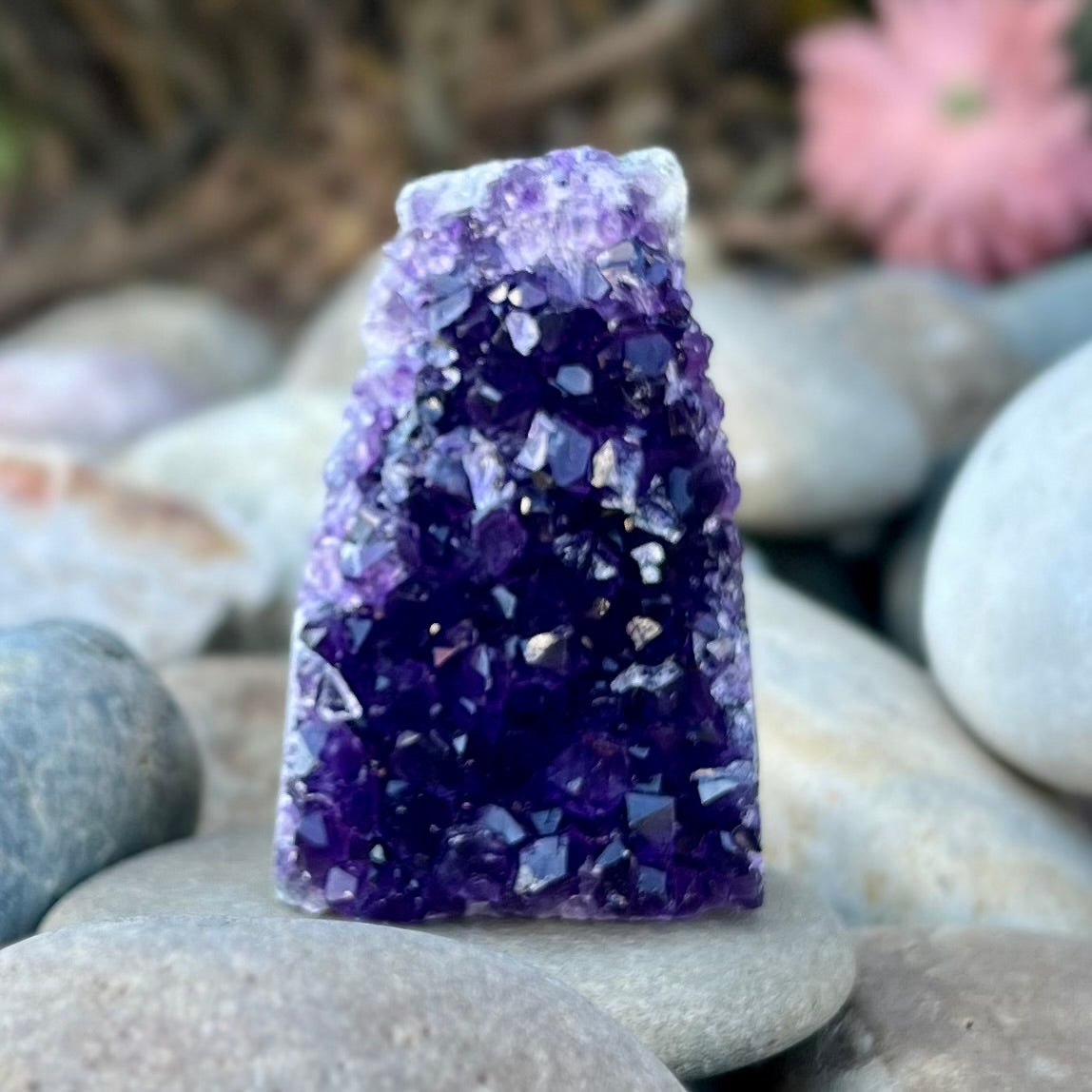 Amethyst Standing Cluster