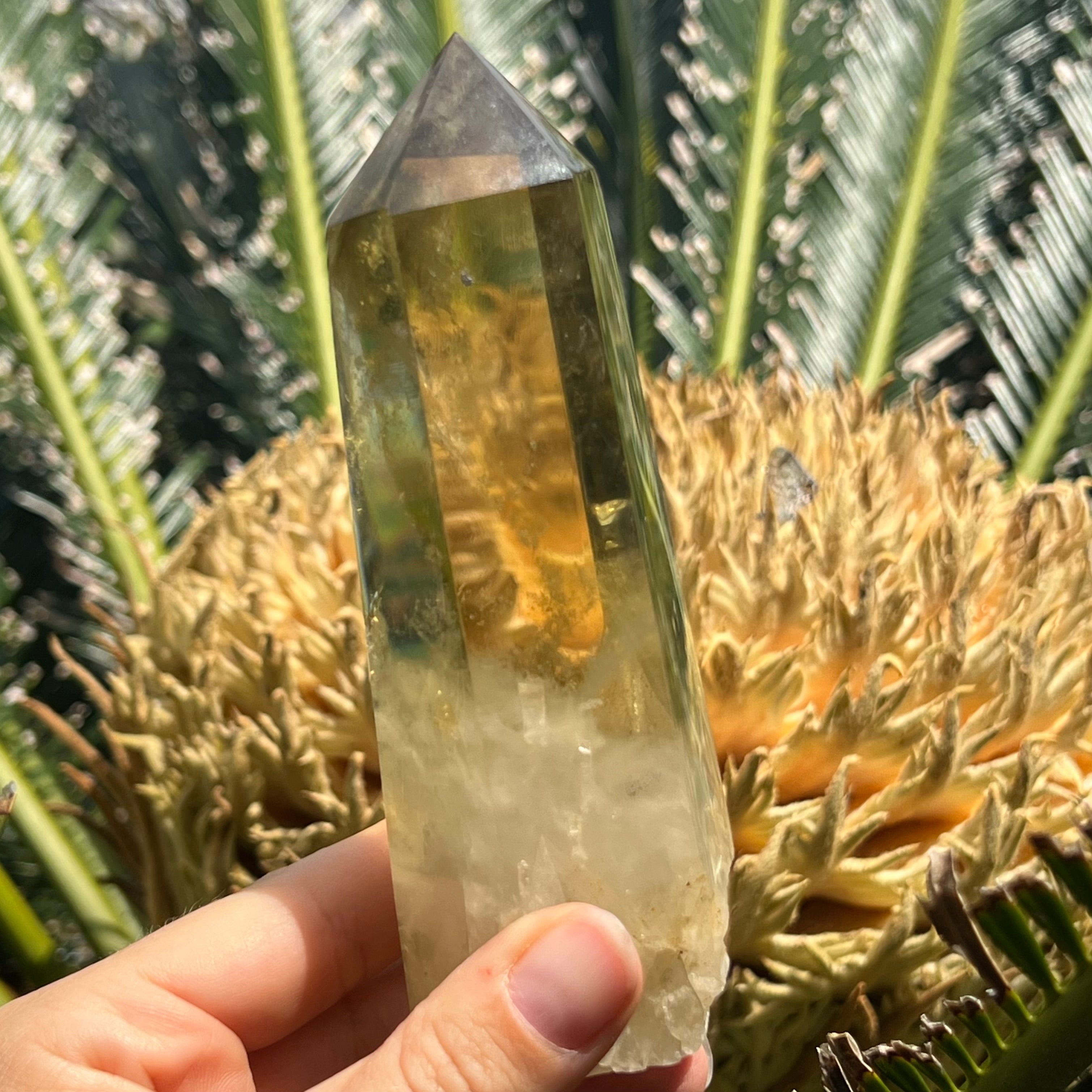 Stunning Citrine Point
