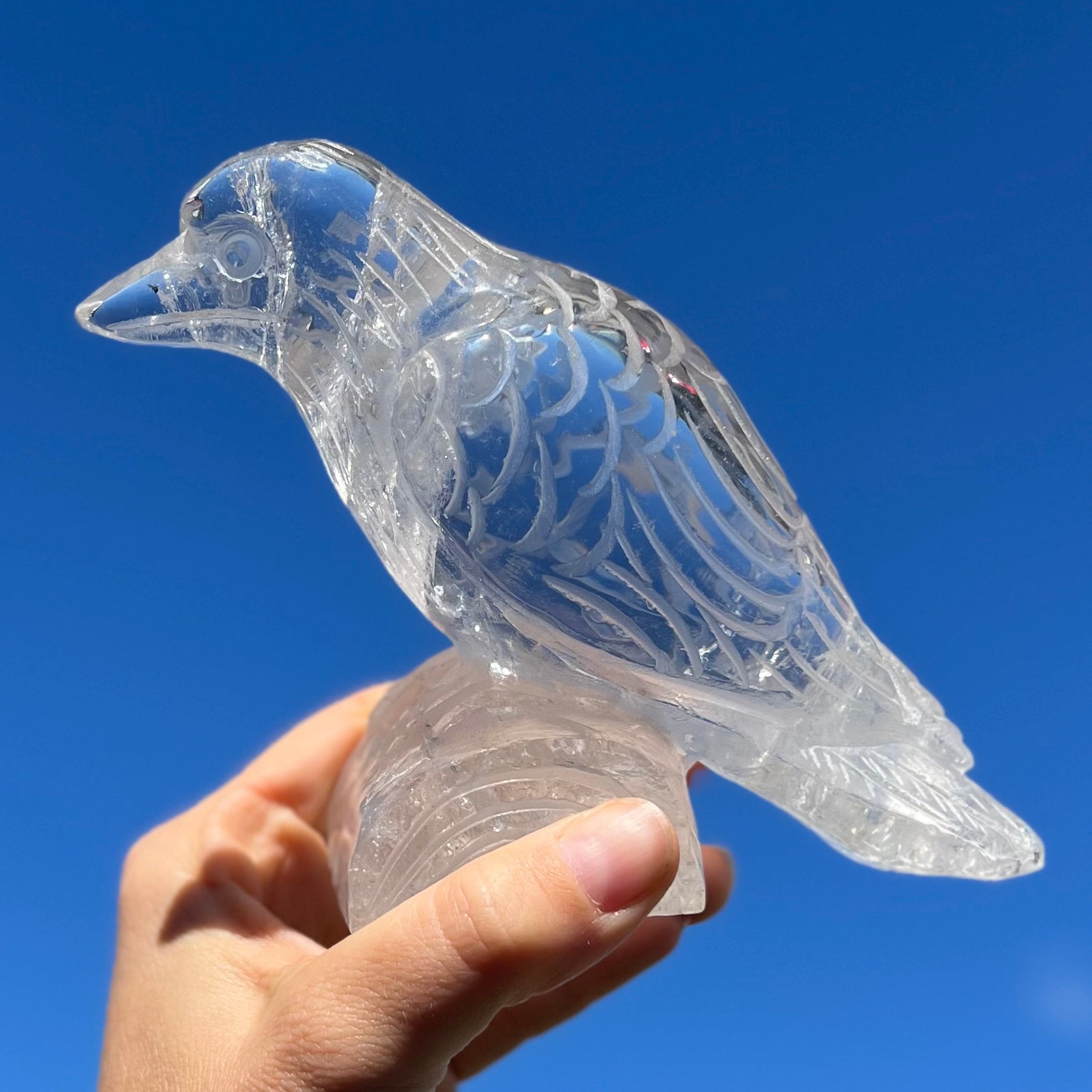 Raven Carving ~ Clear Quartz