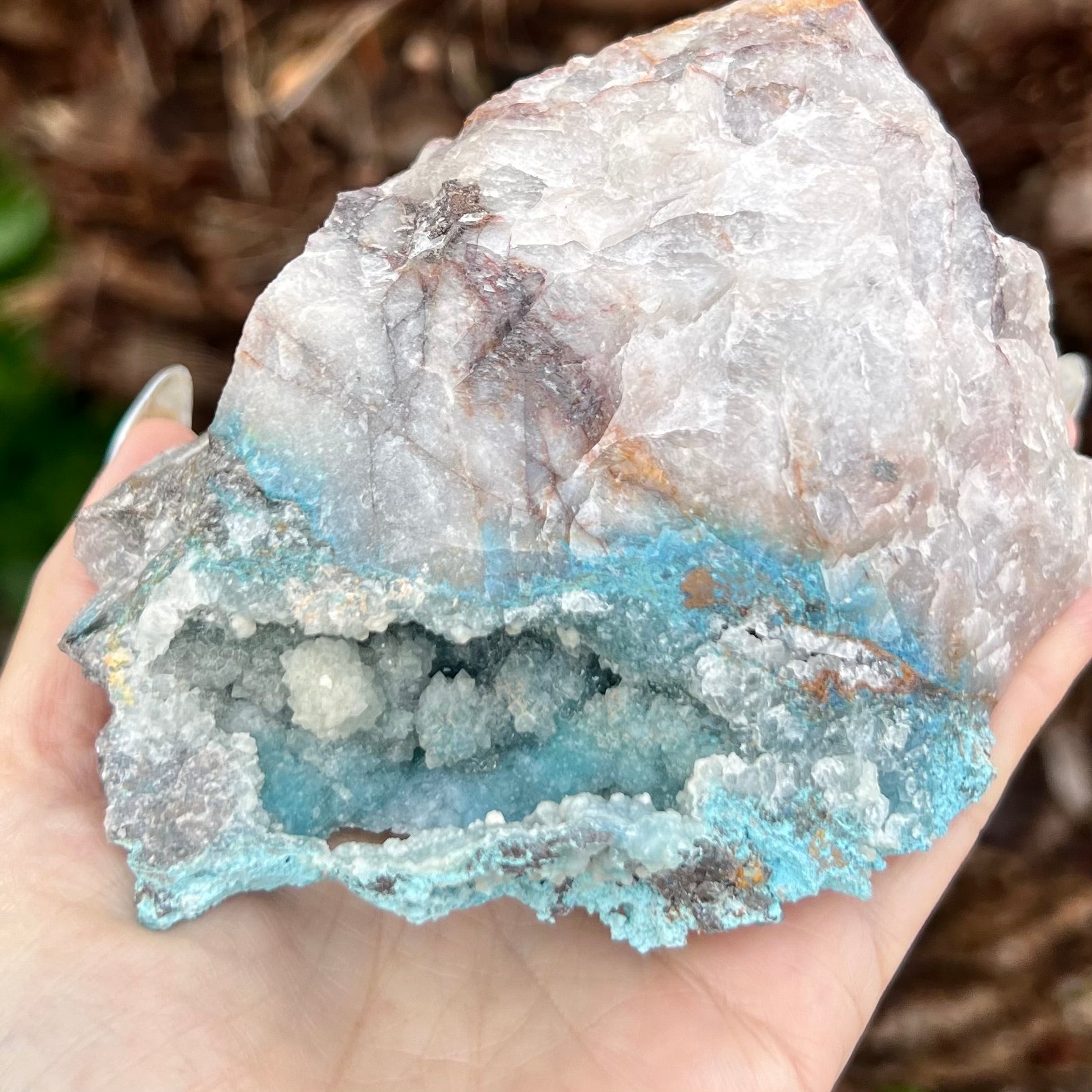 Shattuckite Geode on Matrix