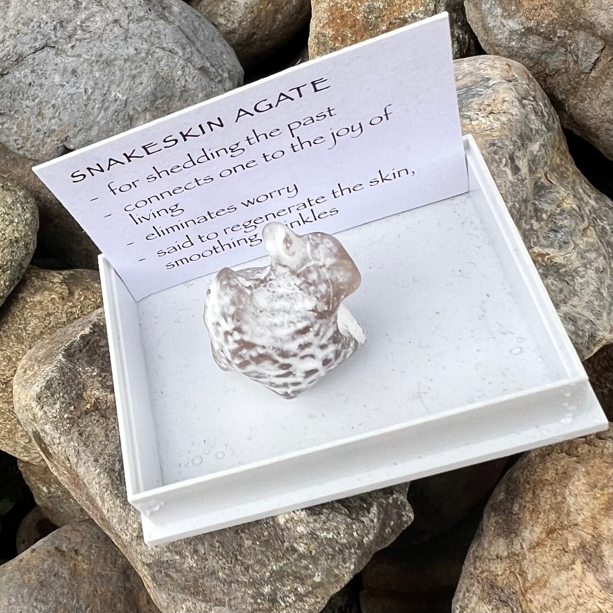 Snakeskin Agate ~ Specialty Boxed Crystal