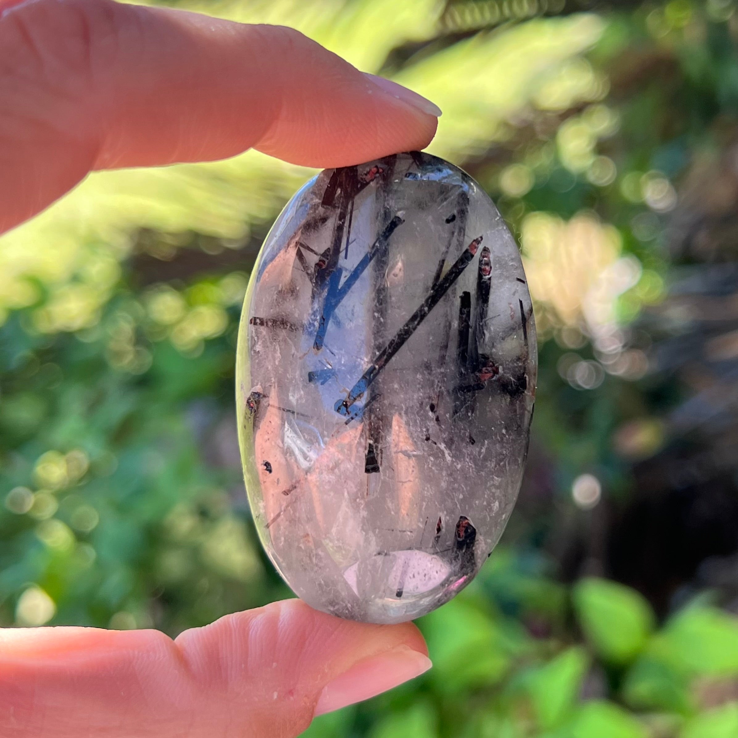 Black Tourmaline in Quartz Palm Stone