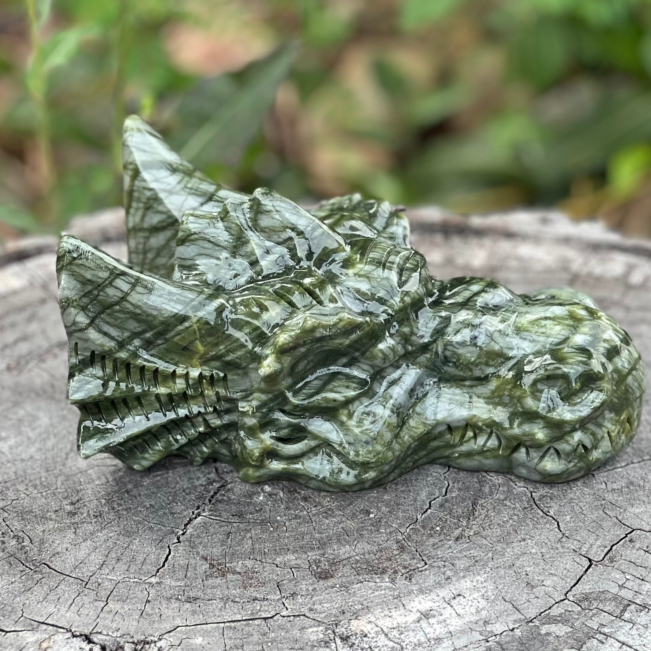 Afghanistan Jade ~ Dragon Head