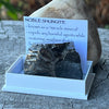 Noble Shungite ~ Specialty Boxed Crystal