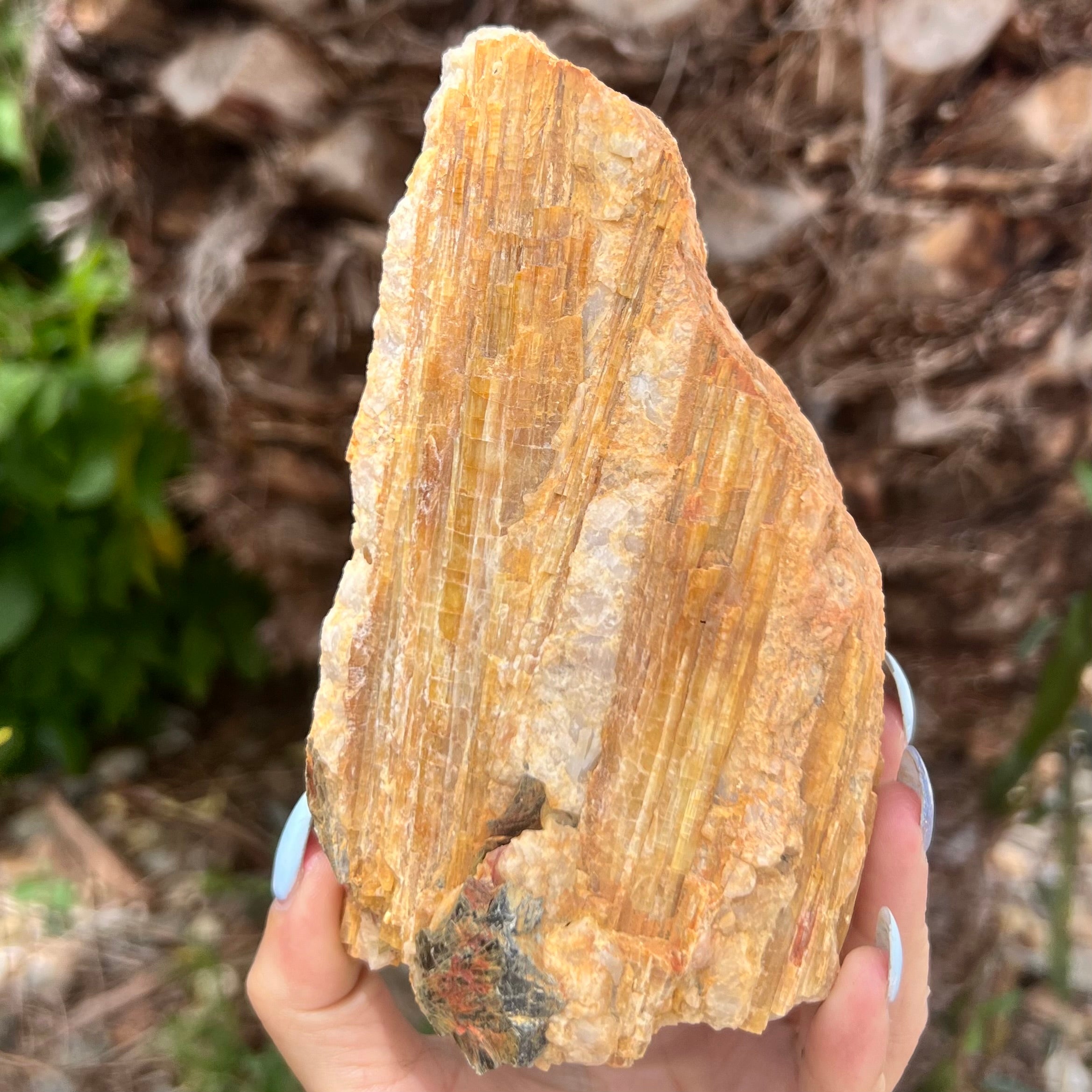 Natural Yellow Tourmaline on Matrix