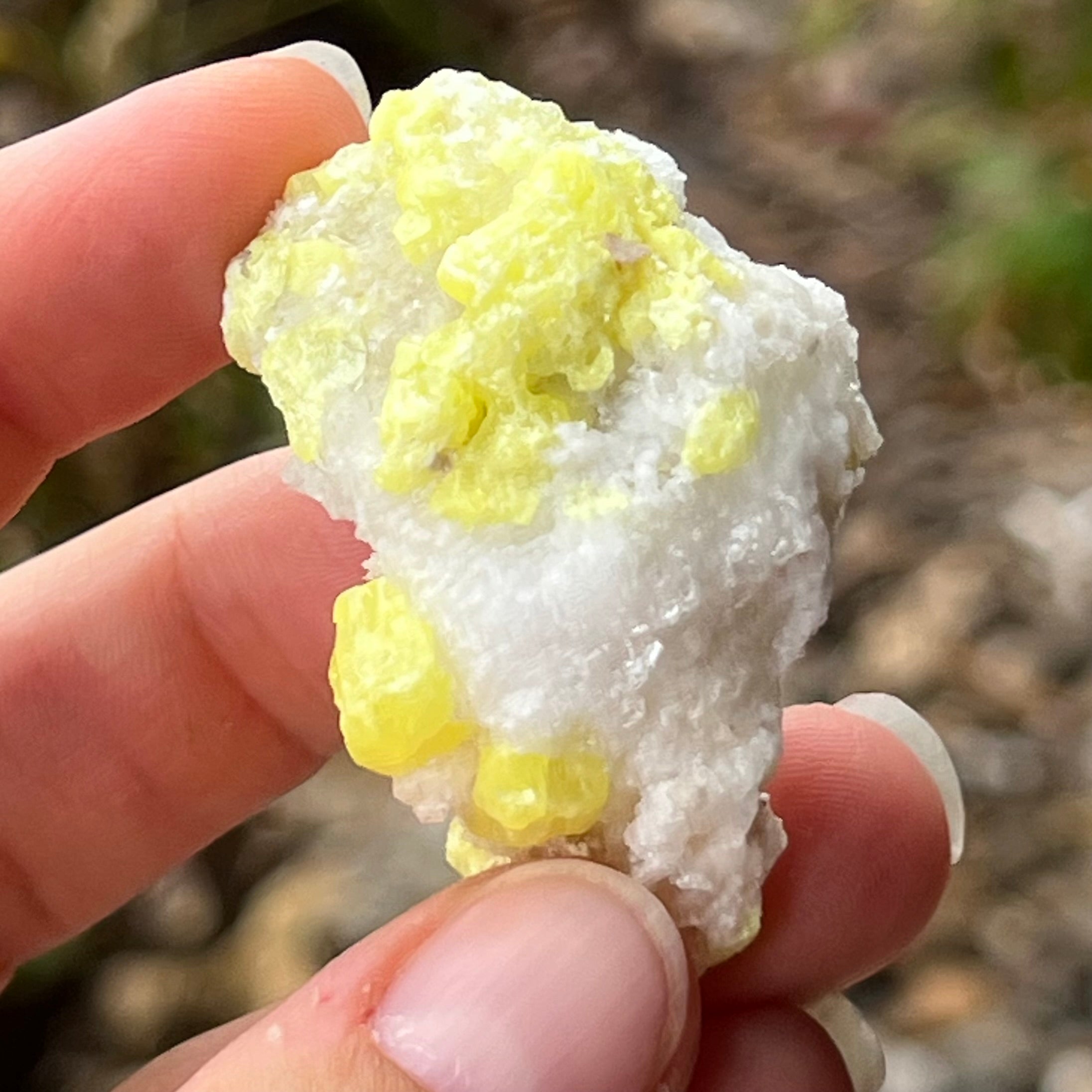 Sulphur Tumble  ~ Specialty Boxed Crystal