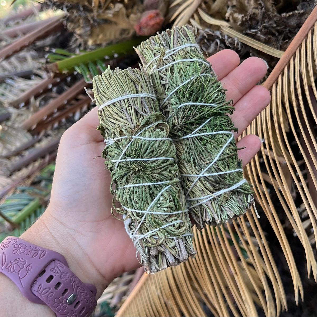 Rose of Jericho ~ Smudge Stick