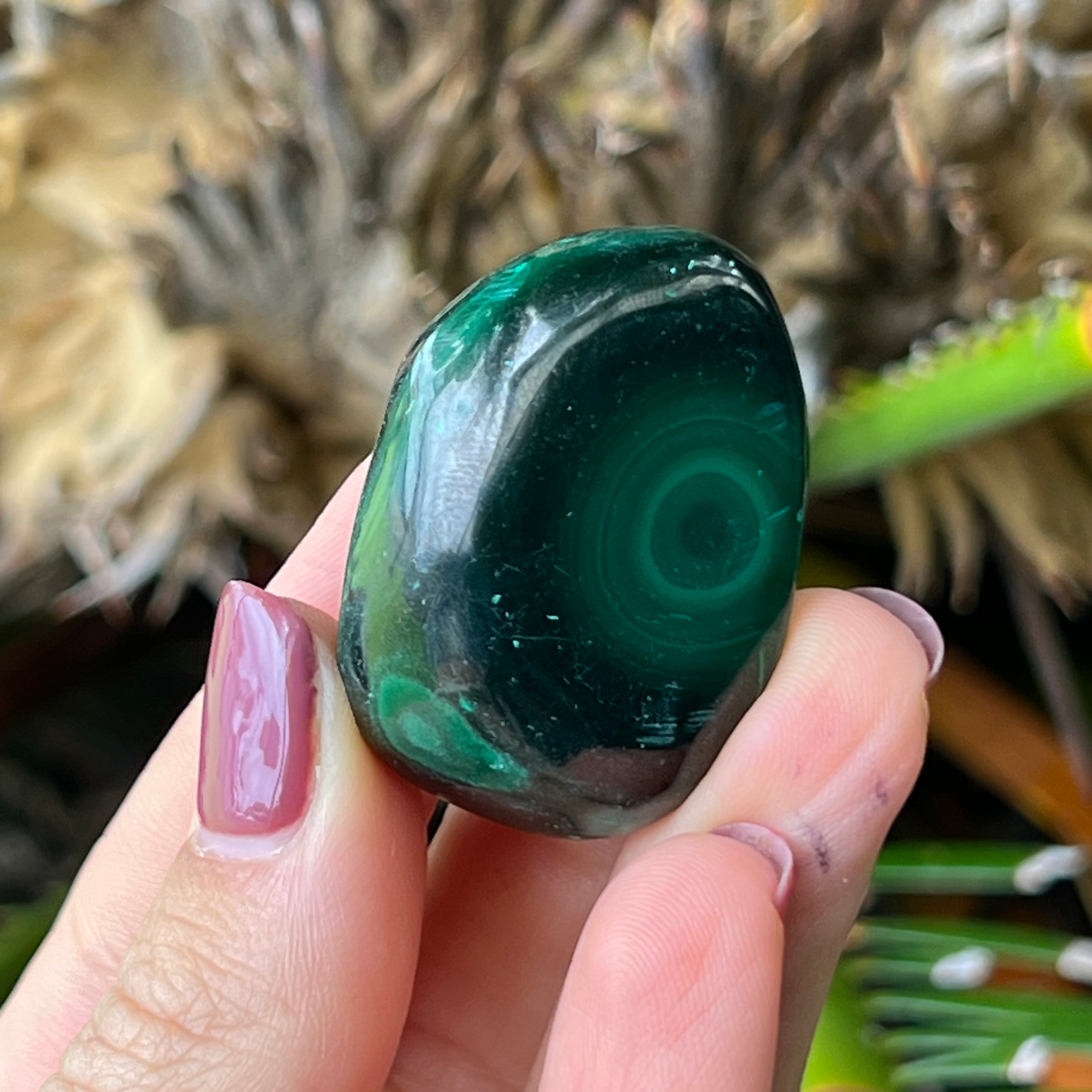 Malachite ~ Specialty Boxed Crystal