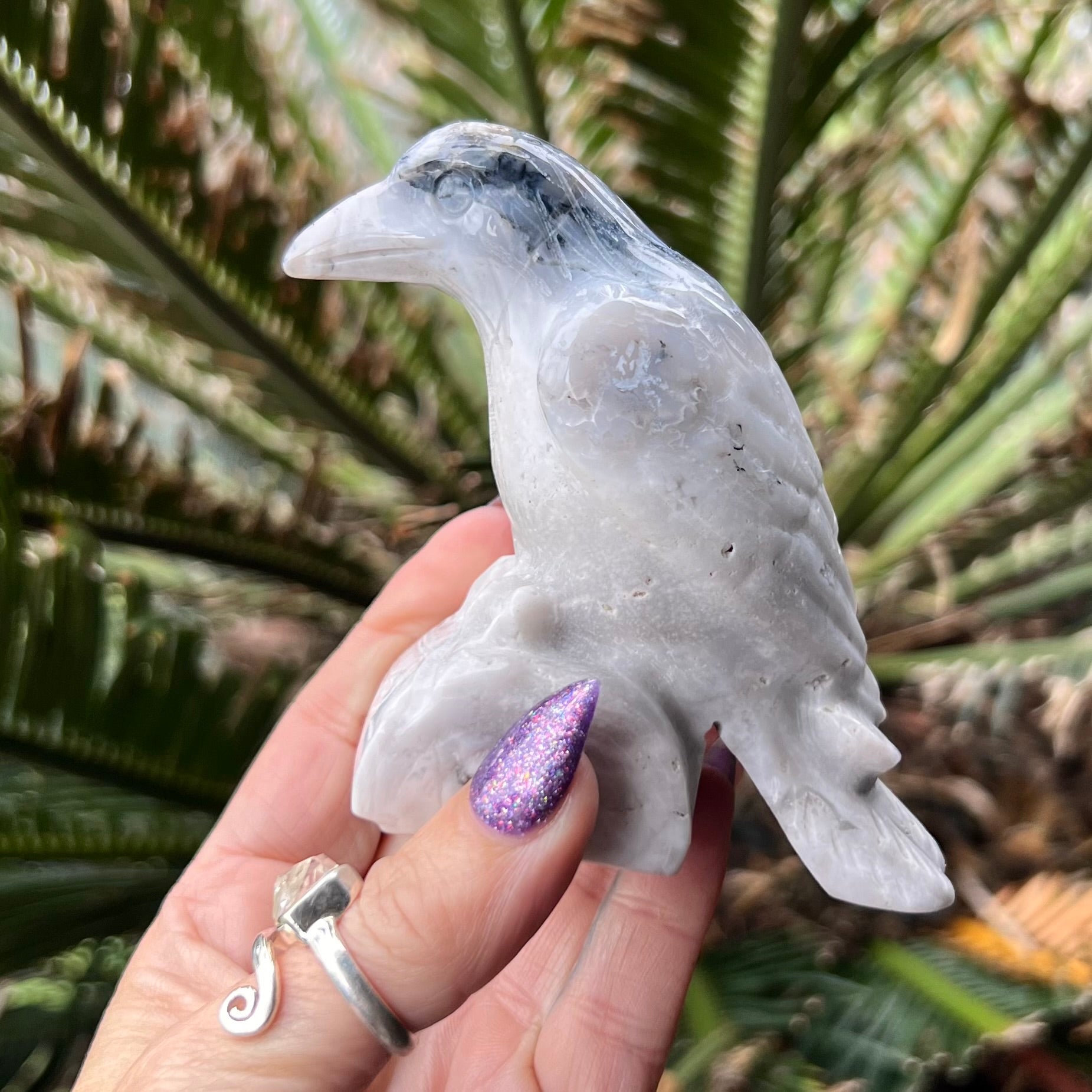 Raven Carving ~ Agate with Black Tourmaline