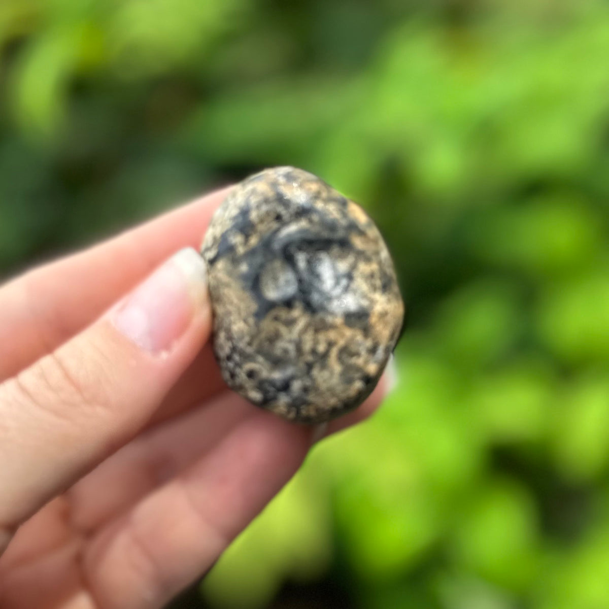 Apache Tears ~ Specialty Crystal