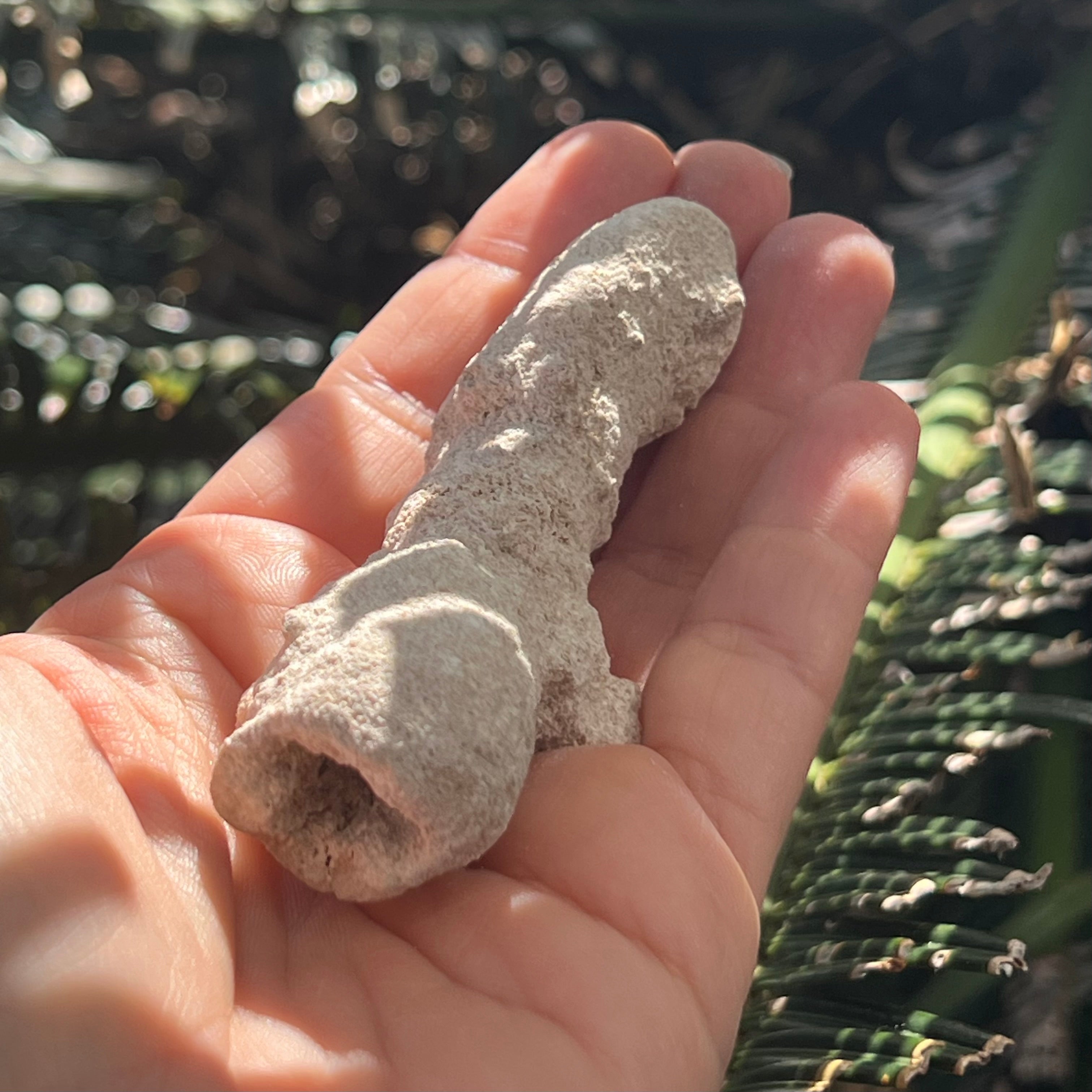 Fulgurite – Petrified Lightning in Your Hands