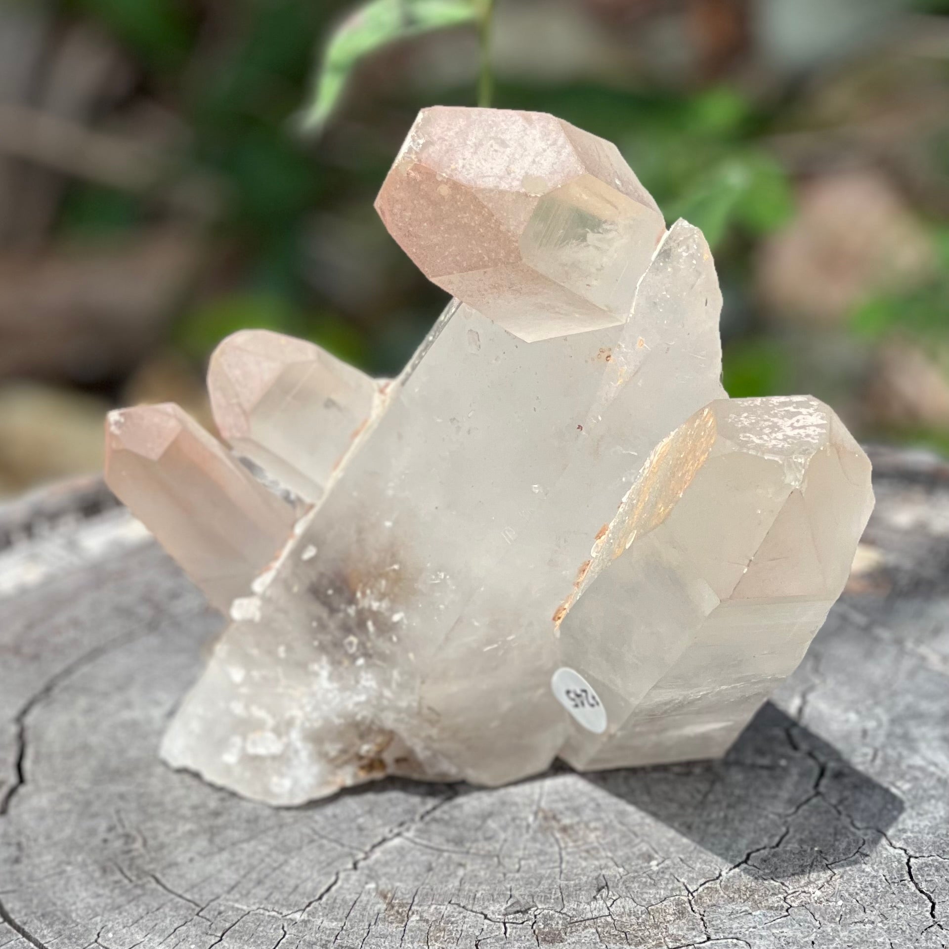 Raw Clear Quartz Natural Cluster of Points