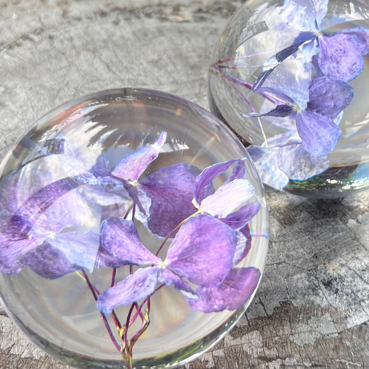 Purple Hydrangea Everlasting Flower Sphere