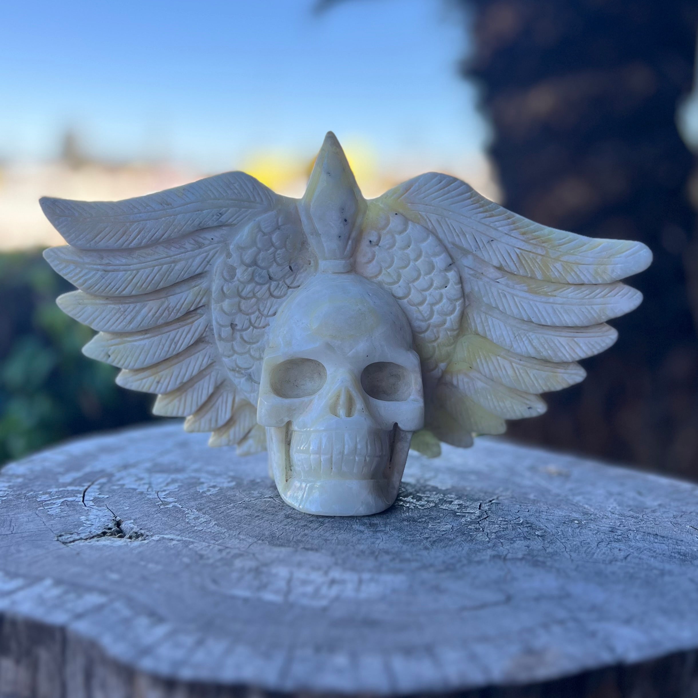 Caribbean Calcite Winged Skull Carving