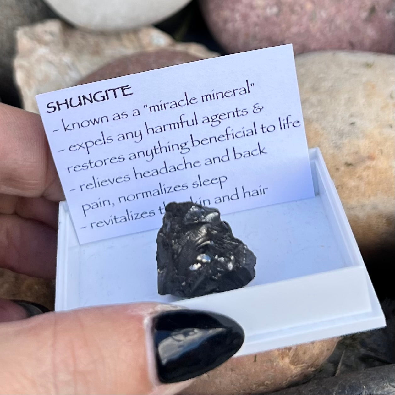 Noble Shungite ~ Specialty Boxed Crystal